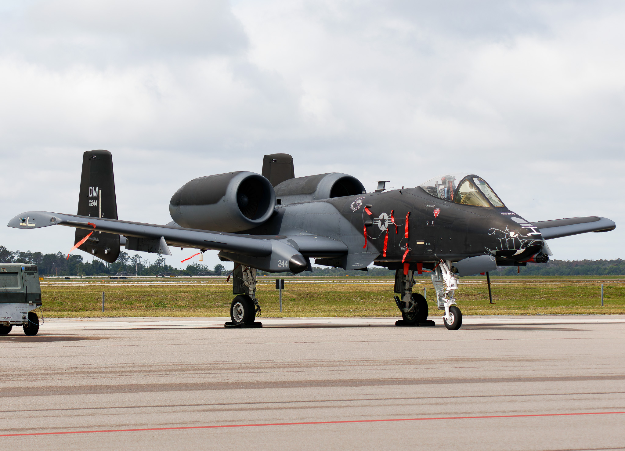 Full size: USAF - United States Air Force Fairchild A-10 Thunderbolt 80-244 at Mac Dill AFB