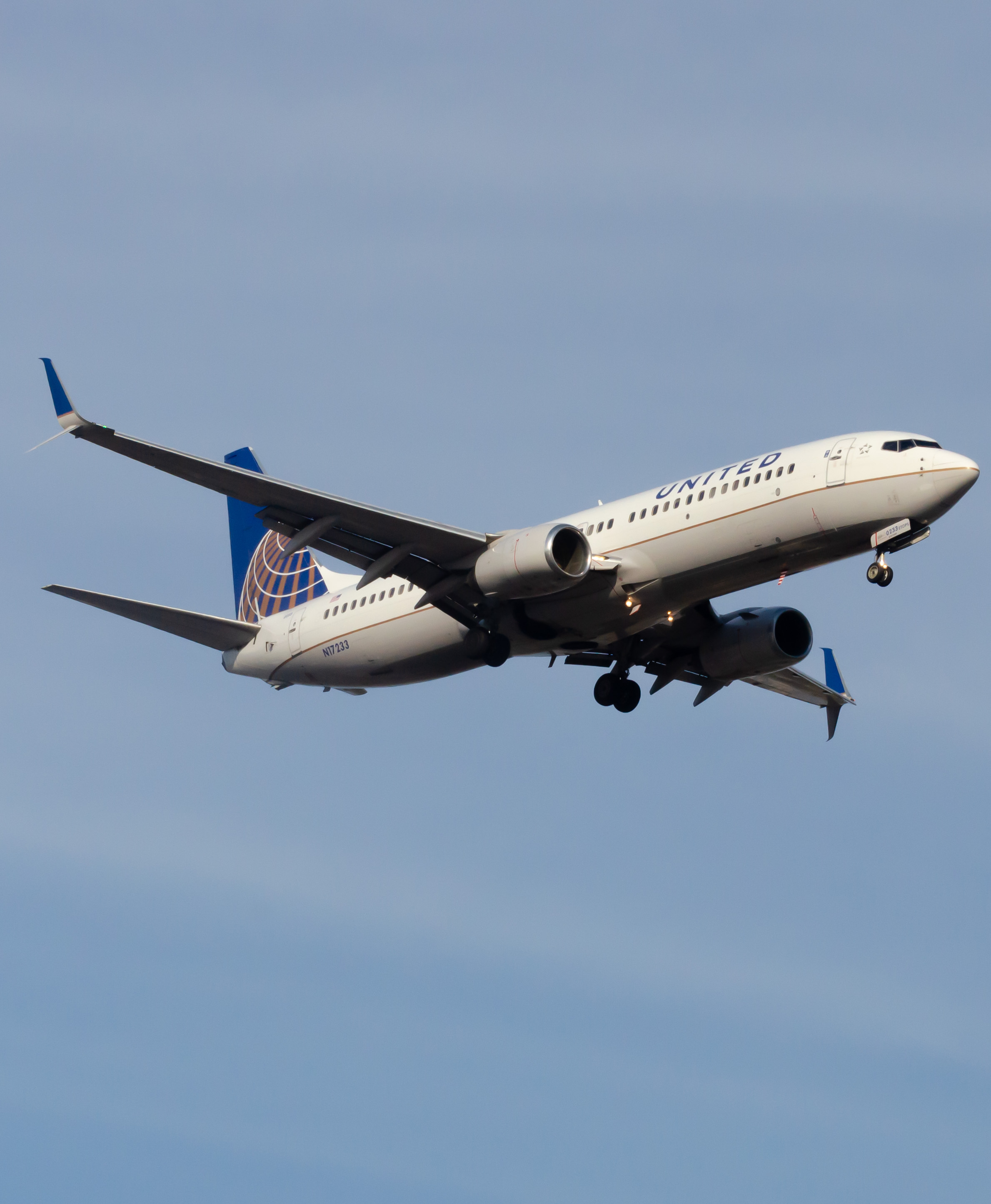 Full size: United Airlines Boeing 737-800 N17233 at Newark Liberty International Airport