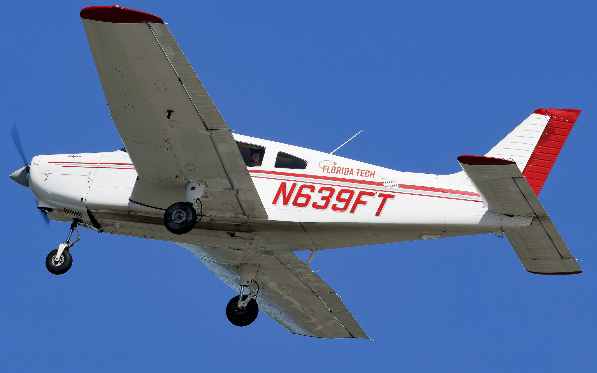 Full size:  FIT Aviation (Florida Institute of Technology)  Piper PA-28-161 Warrior III N639FT at Melbourne International Airport