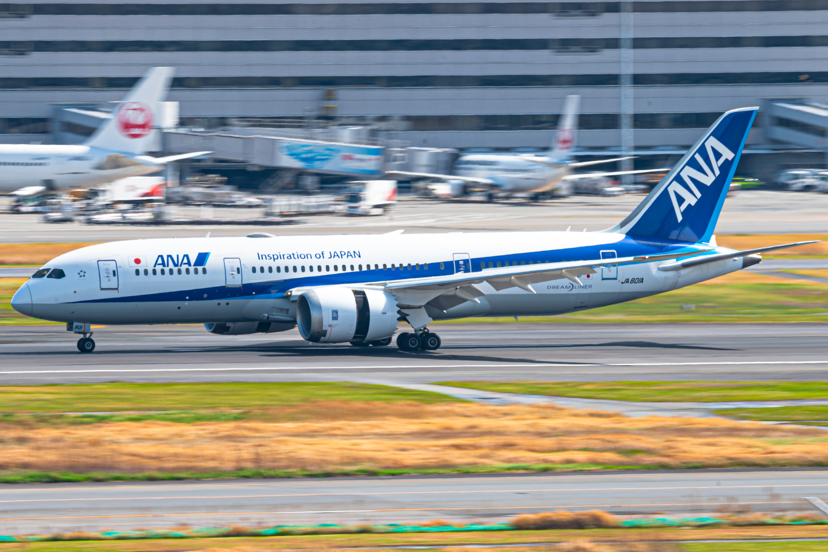 Full size: All Nippon Airways Boeing 787-8 JA801A  at Tokyo-Haneda Airport
