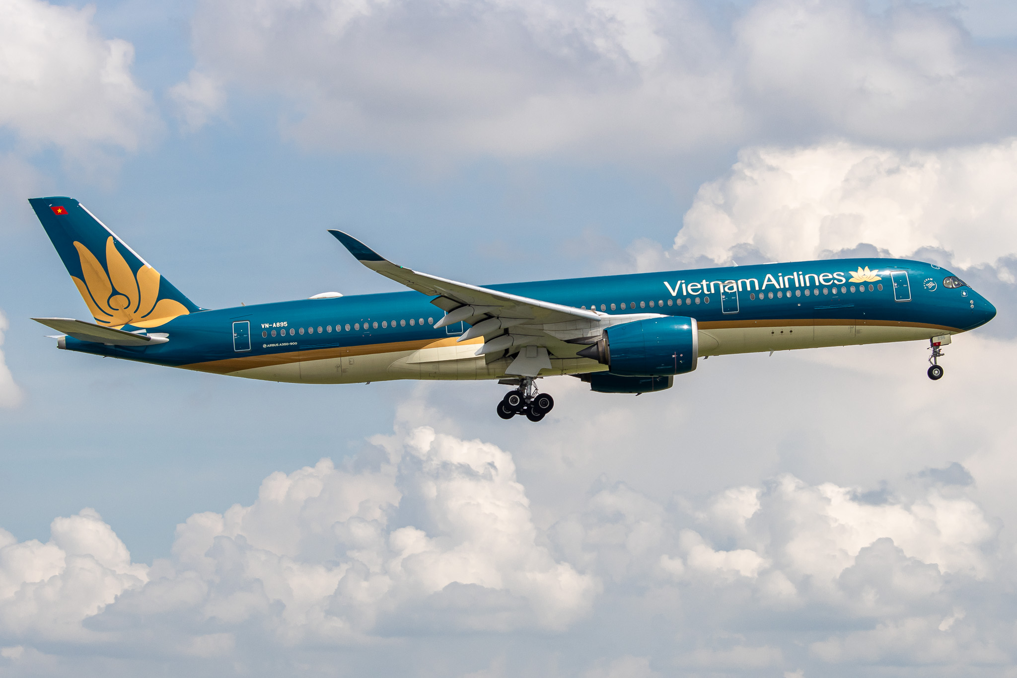 Full size: Vietnam Airlines Airbus A350-900 VN-A895 at Tan Son Nhat International Airport