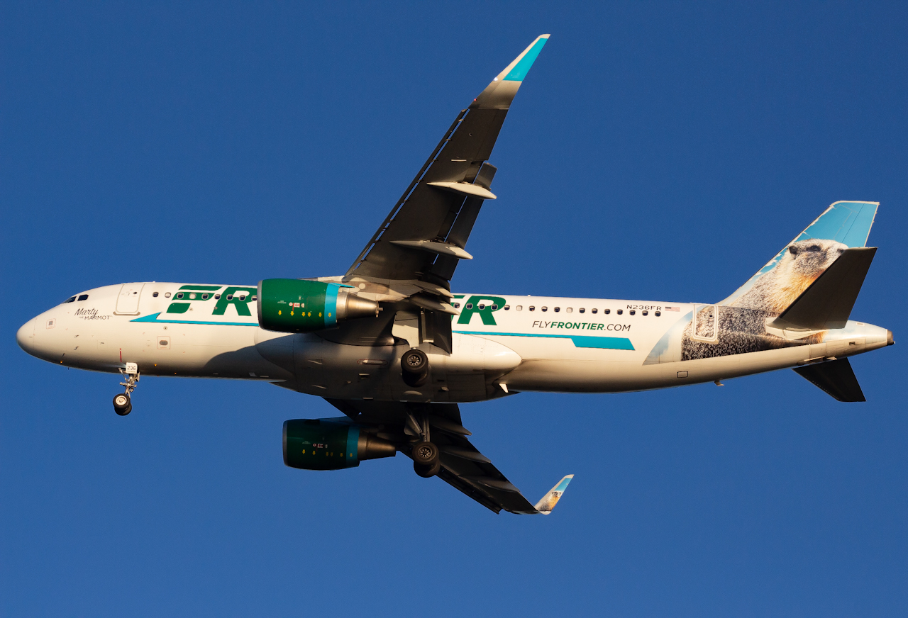 Full size: Frontier Airlines Airbus A320 N236FR at Tampa International Airport