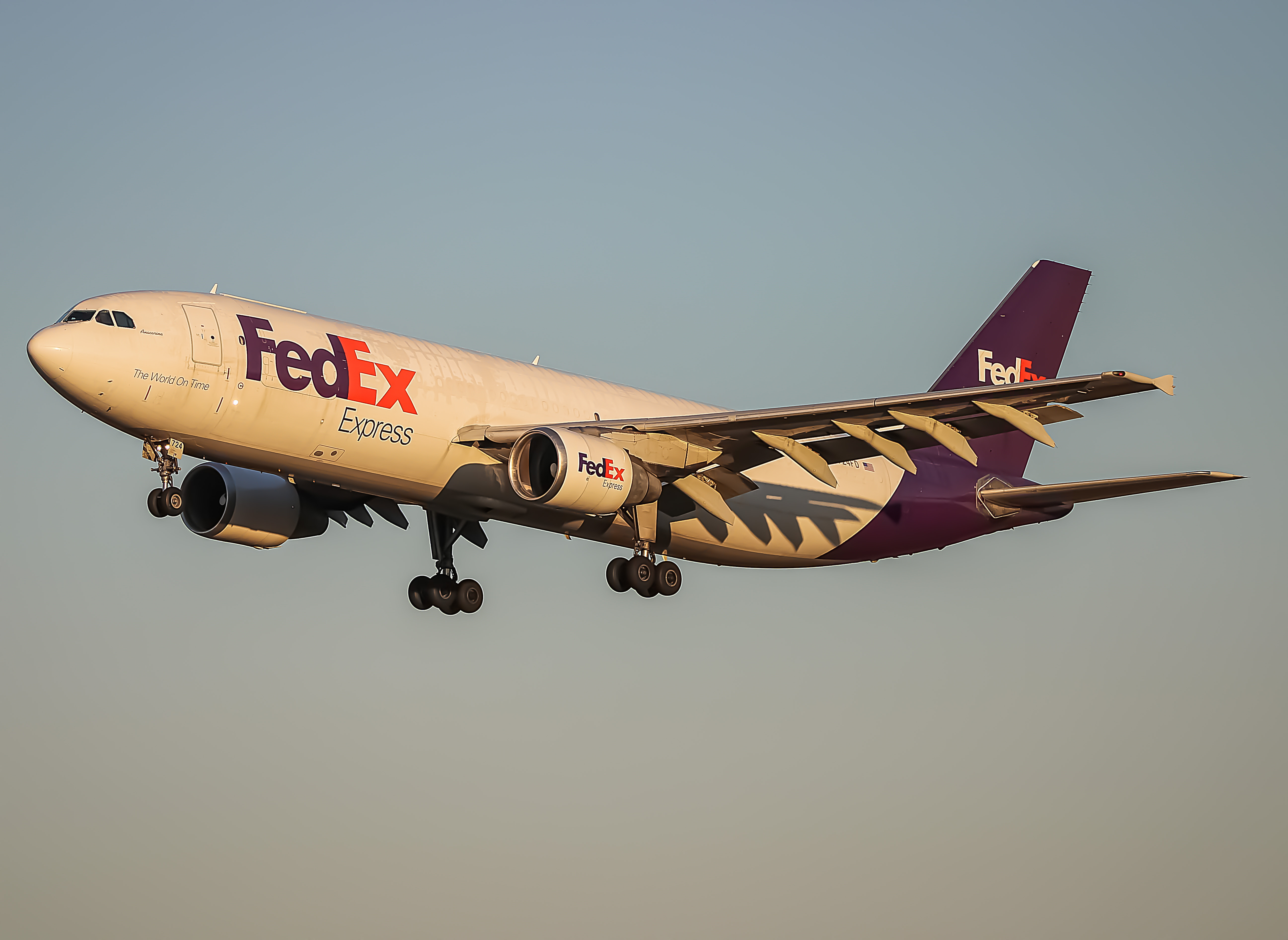 Full size: FedEx Airbus A300F-600 N724FD at Baltimore/Washington International Thurgood Marshall Airport