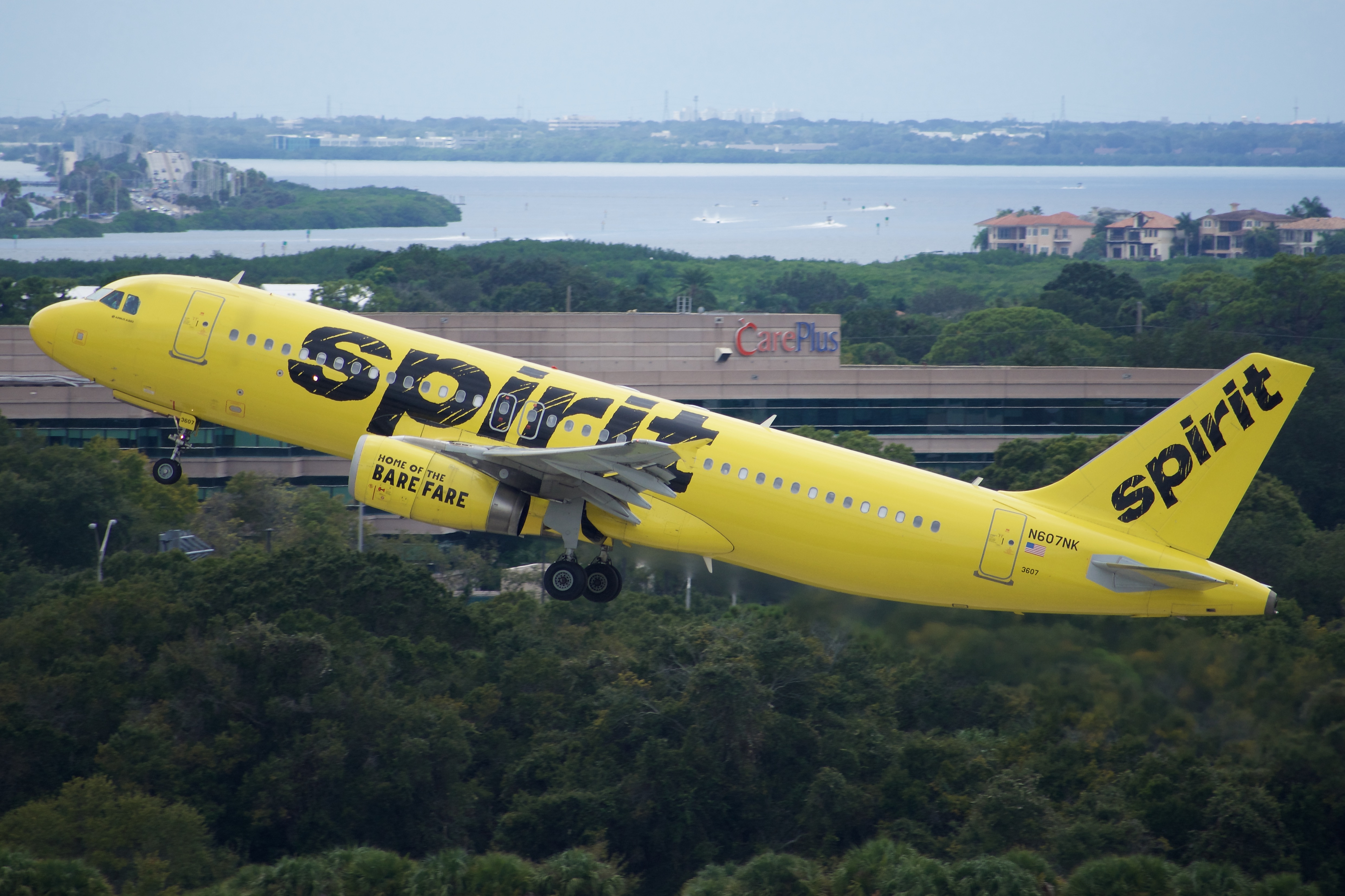 Full size: Spirit Airlines Airbus A320 N607NK at Tampa International Airport