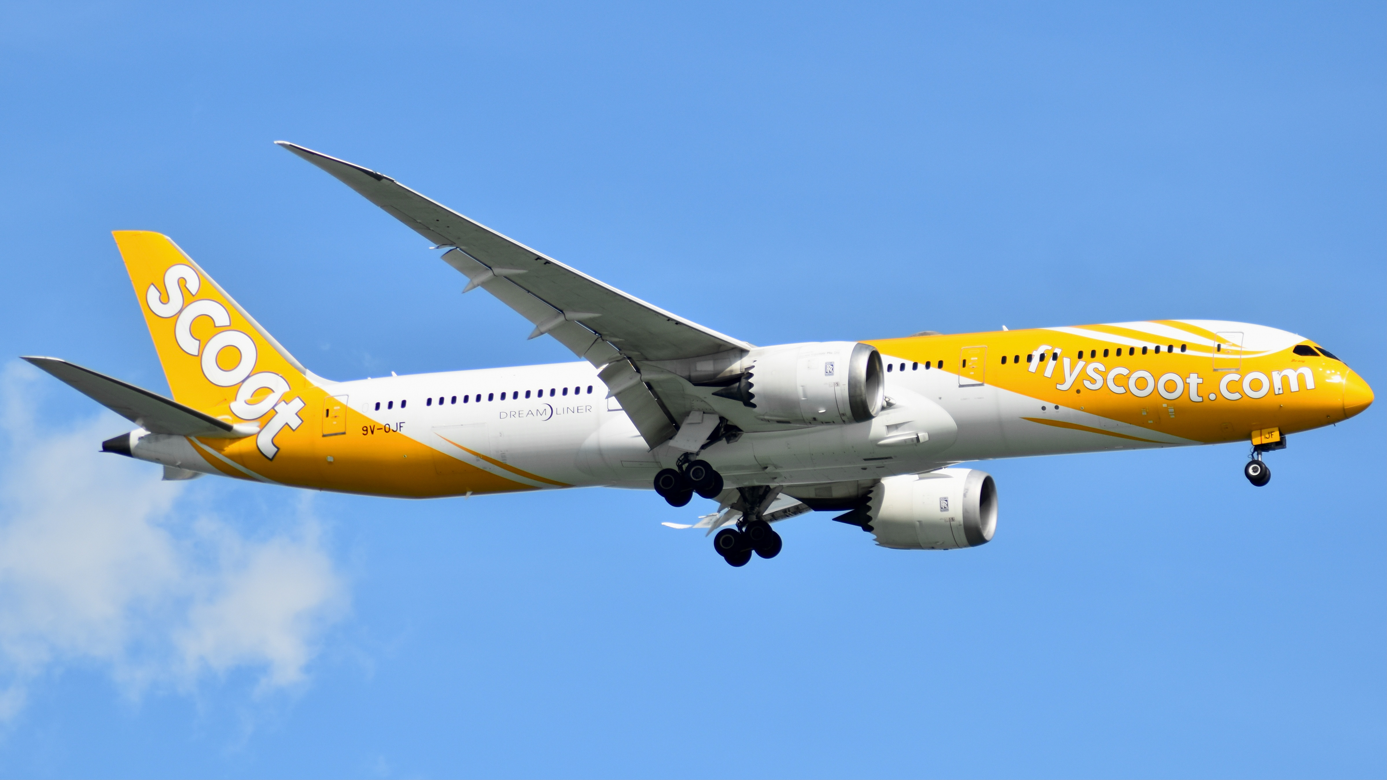 Full size: Scoot  Boeing 787-9 9V-OJF at Singapore-Changi Airport