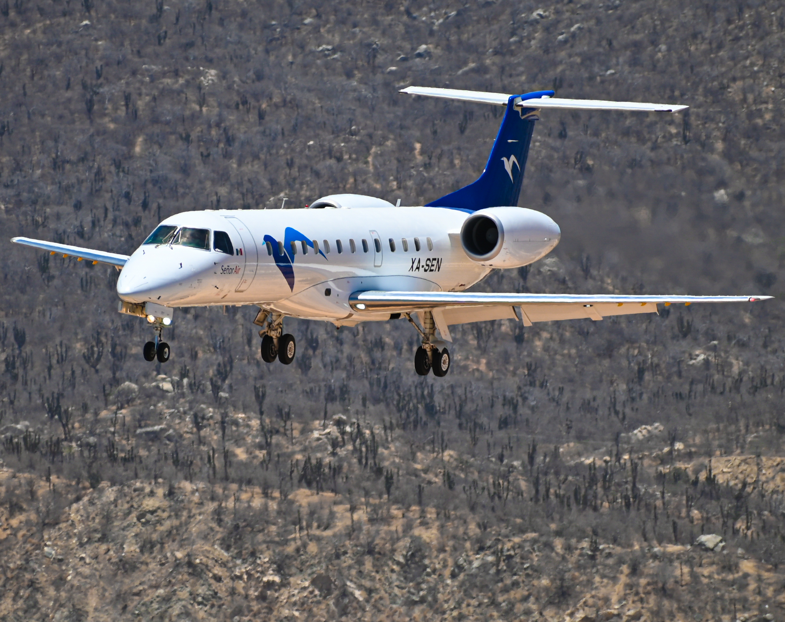 Full size: Senor Air Embraer E135 XA-SEN at Aeropuerto de Cabo San Lucas Internacional