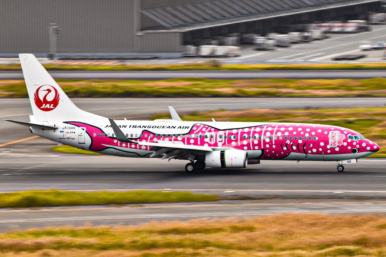 Full size: Japan Airlines Boeing 737-800 JA06RK at Tokyo-Haneda Airport