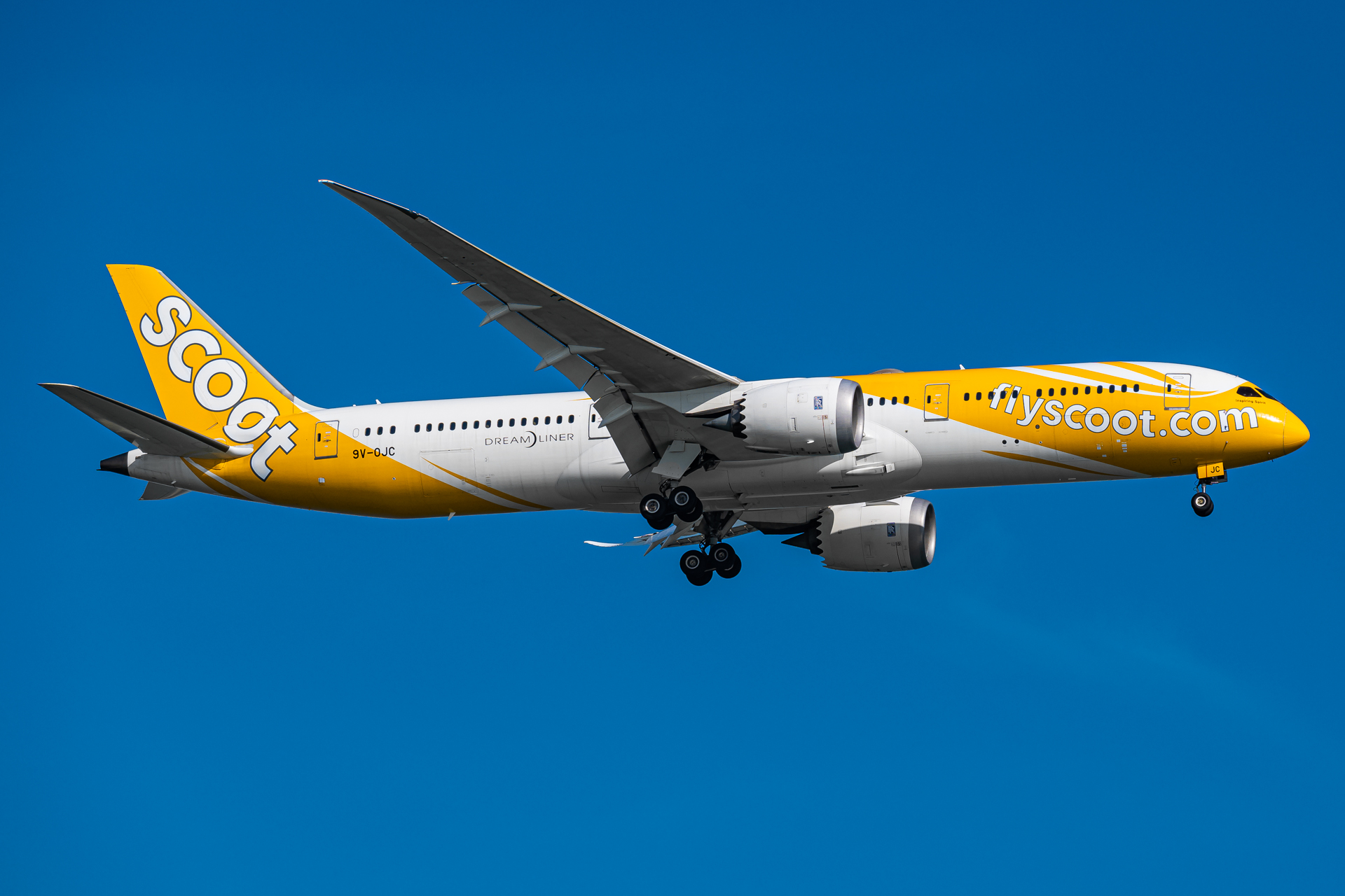 Full size: Scoot Boeing 787-9 9V-OJC at Singapore-Changi Airport