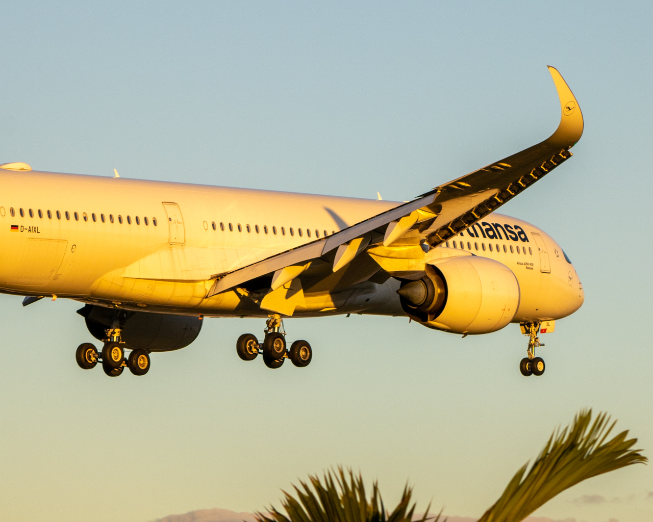 Full size: Lufthansa Airbus A350-900 D-AIXL at Miami International Airport