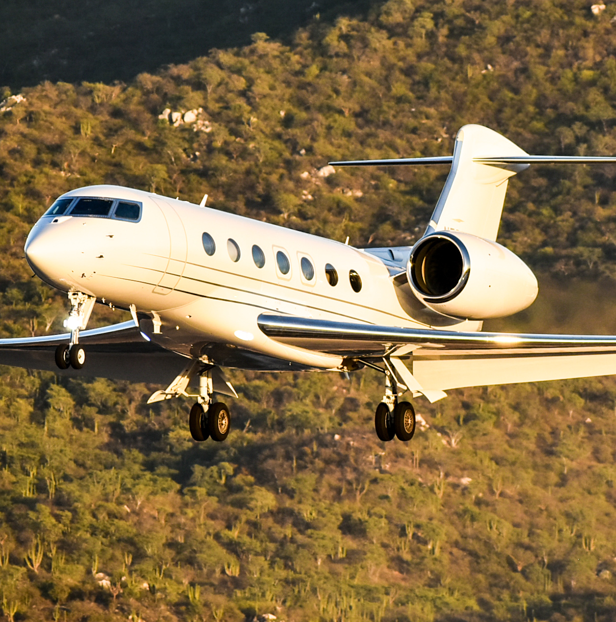 Full size: Stephenson Air Services Gulfstream G500 N500XX at Aeropuerto de Cabo San Lucas Internacional