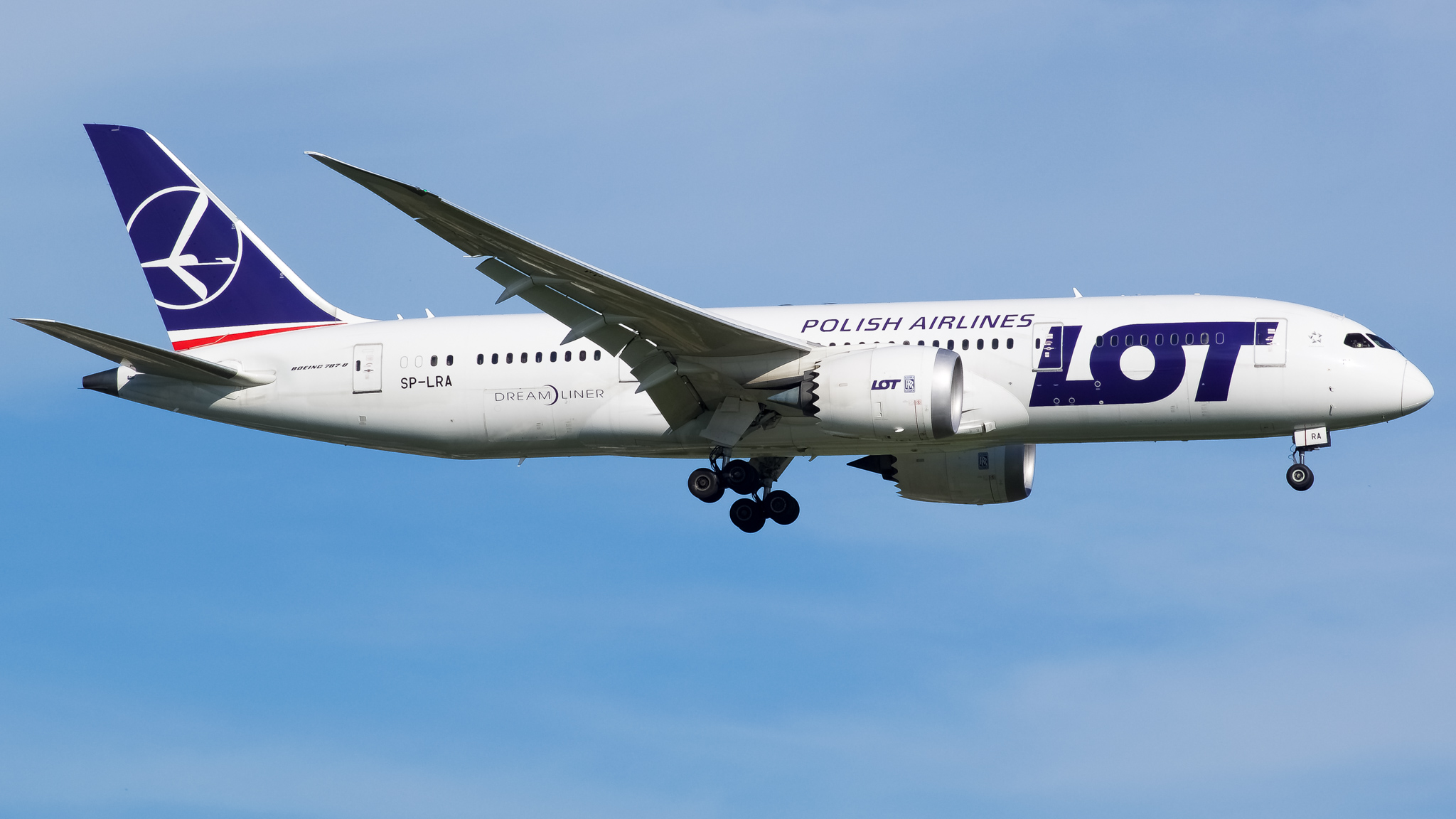Full size: LOT Polish Airlines Boeing 787-8 SP-LRA at John F. Kennedy International Airport