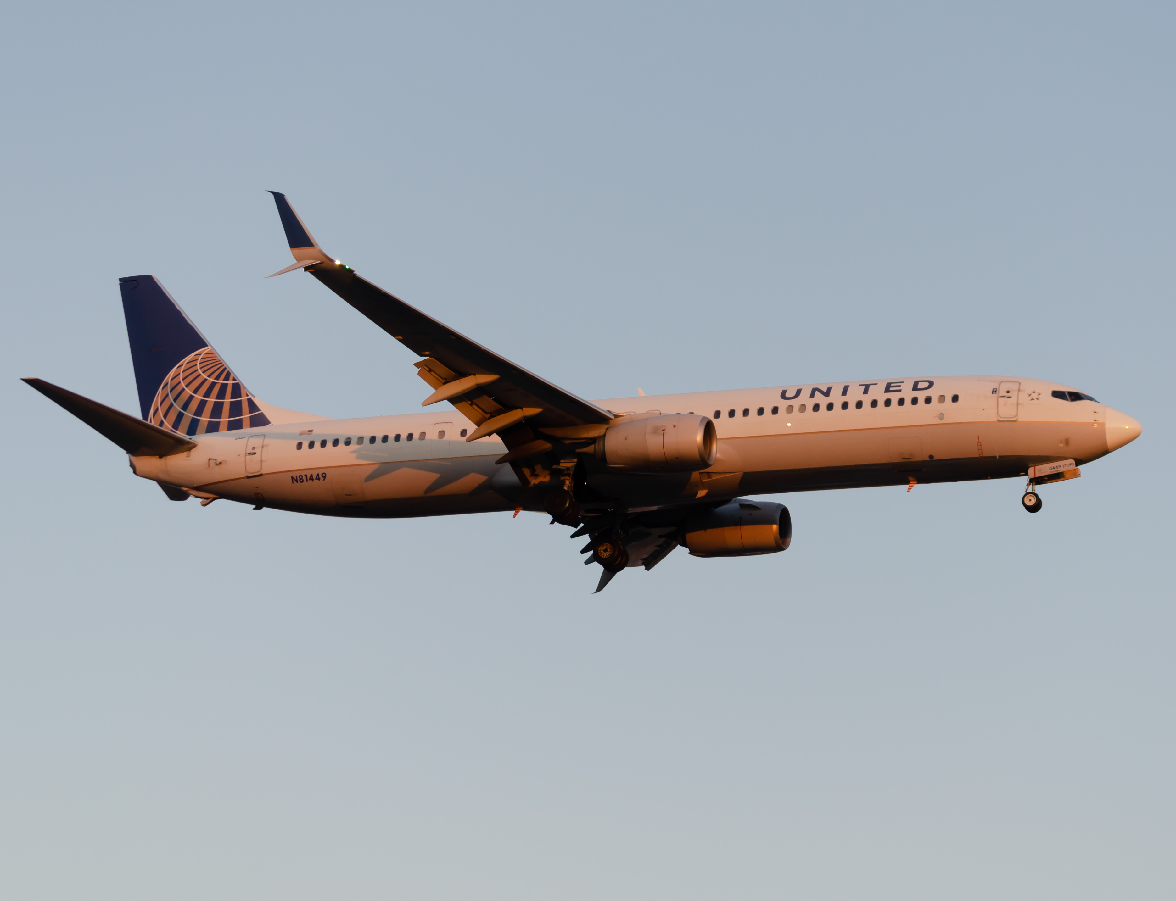 Full size: United Airlines Boeing 737-900ER N81449 at Newark Liberty International Airport