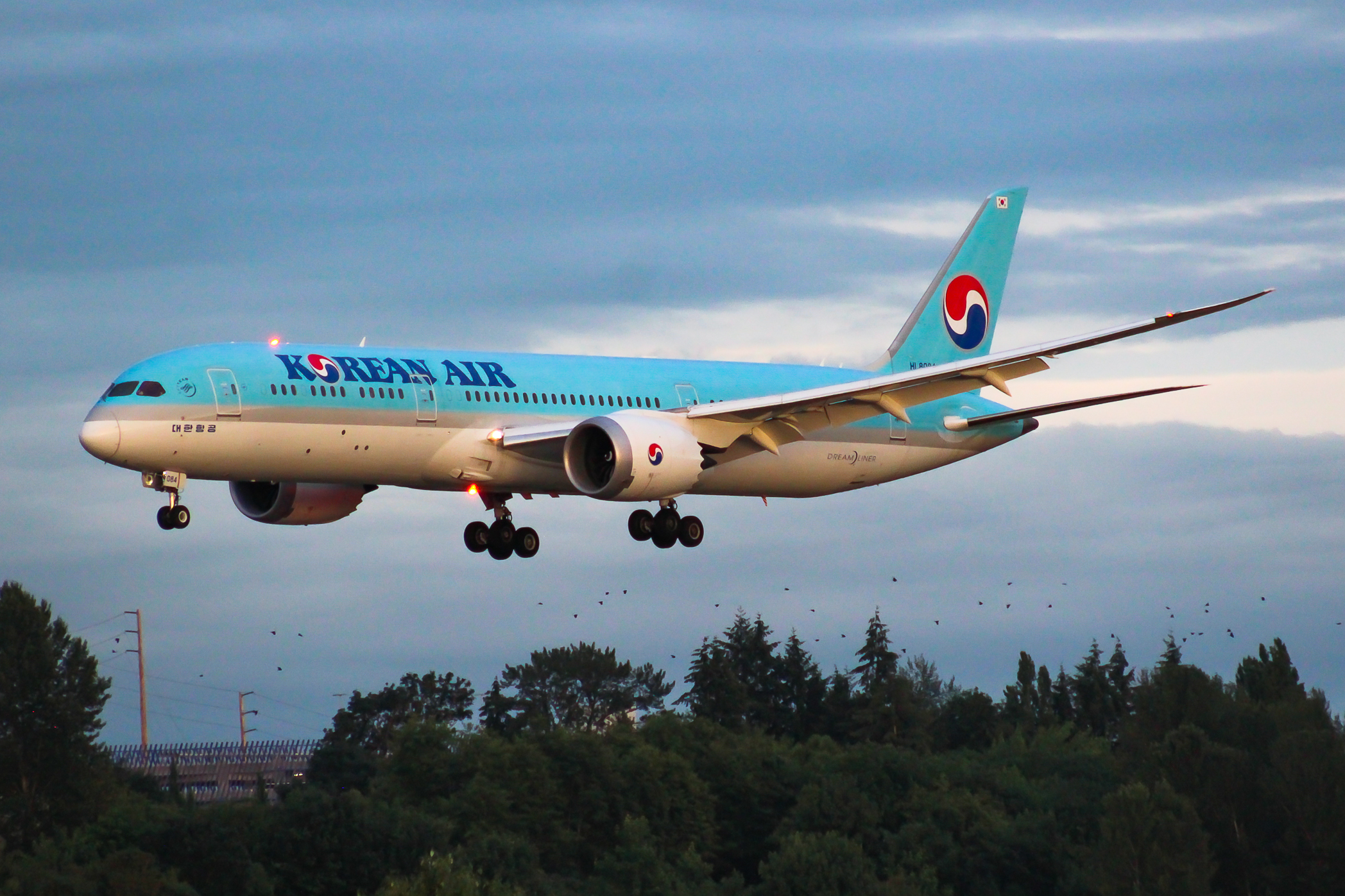 Full size: Korean Air Boeing 787-9 HL8084 at Seattle-Tacoma International Airport