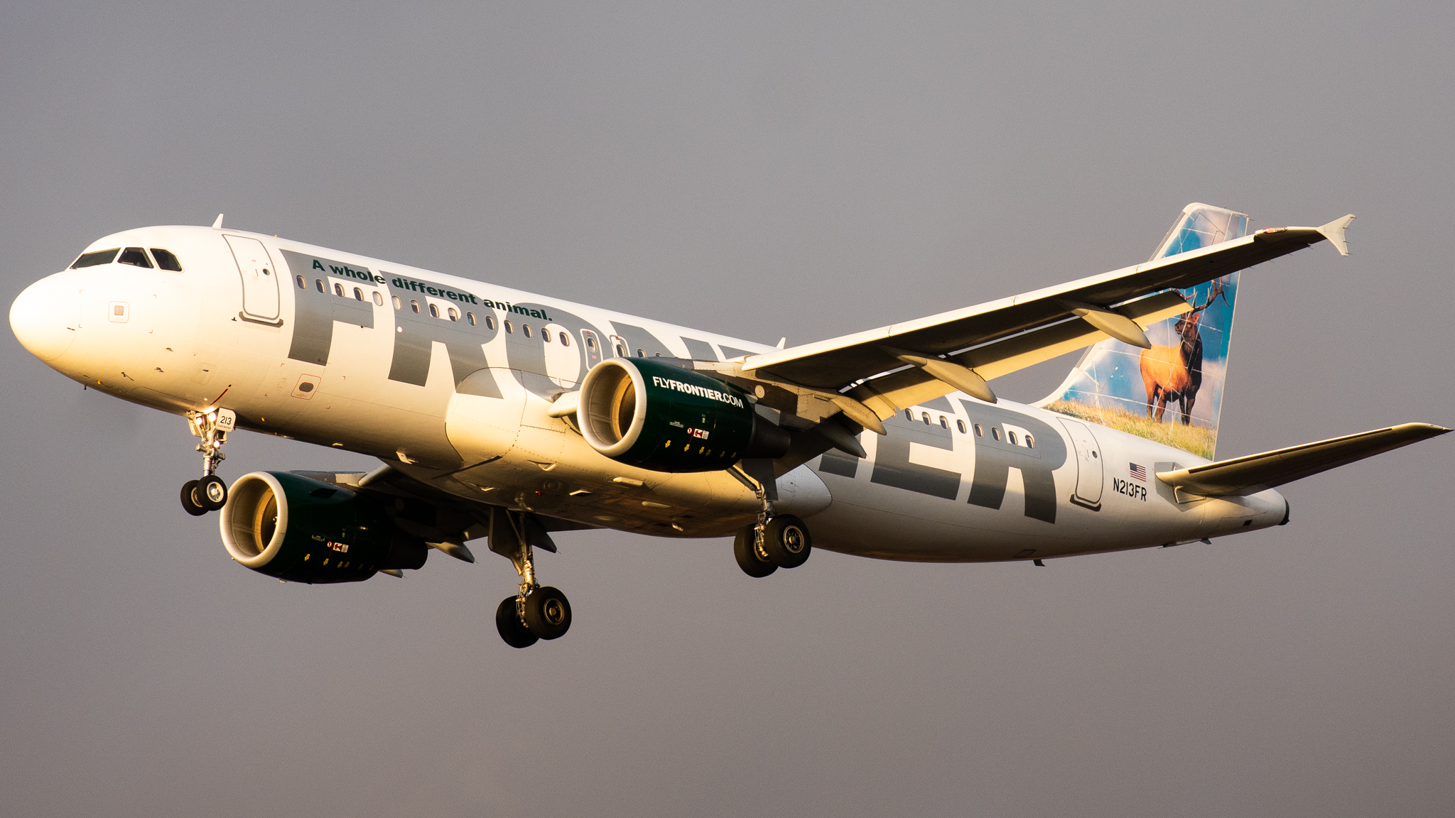 Full size: Frontier Airlines Airbus A320 N213FR at Philadelphia International Airport
