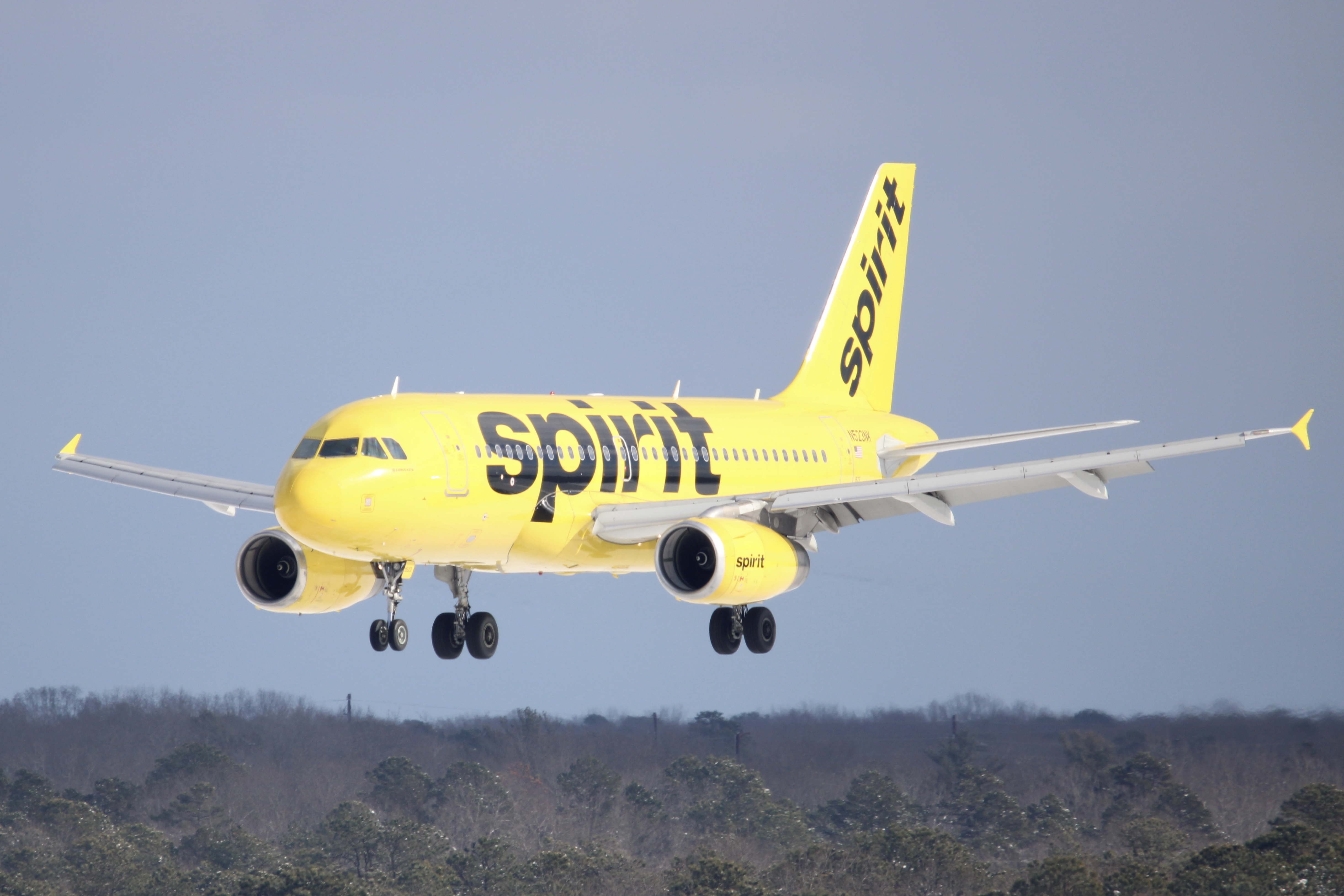 Full size: Spirit Airlines Airbus A319-100 N532NK at Atlantic City International Airport