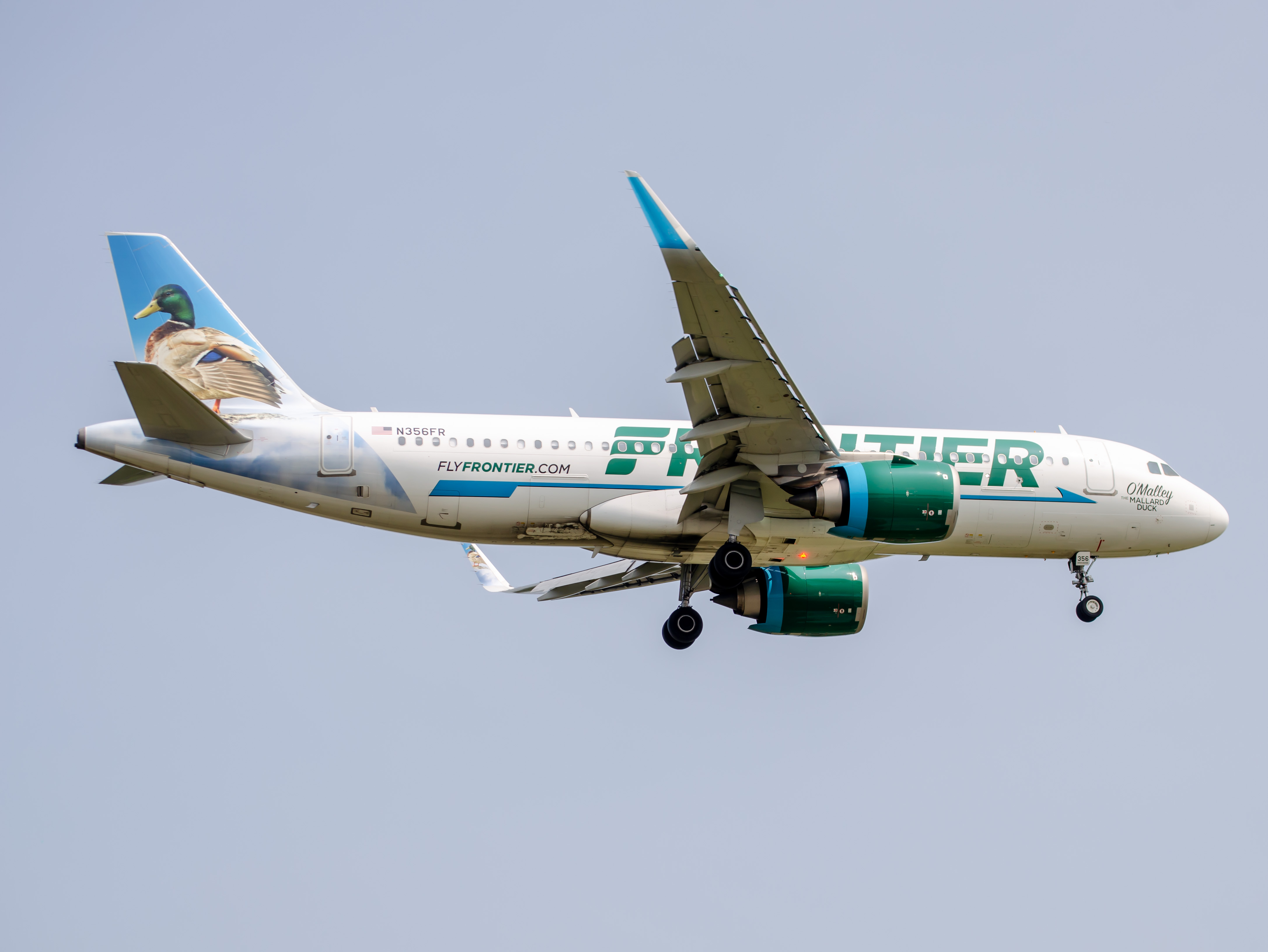 Full size: Frontier Airlines Airbus A320NEO N356FR at Philadelphia International Airport