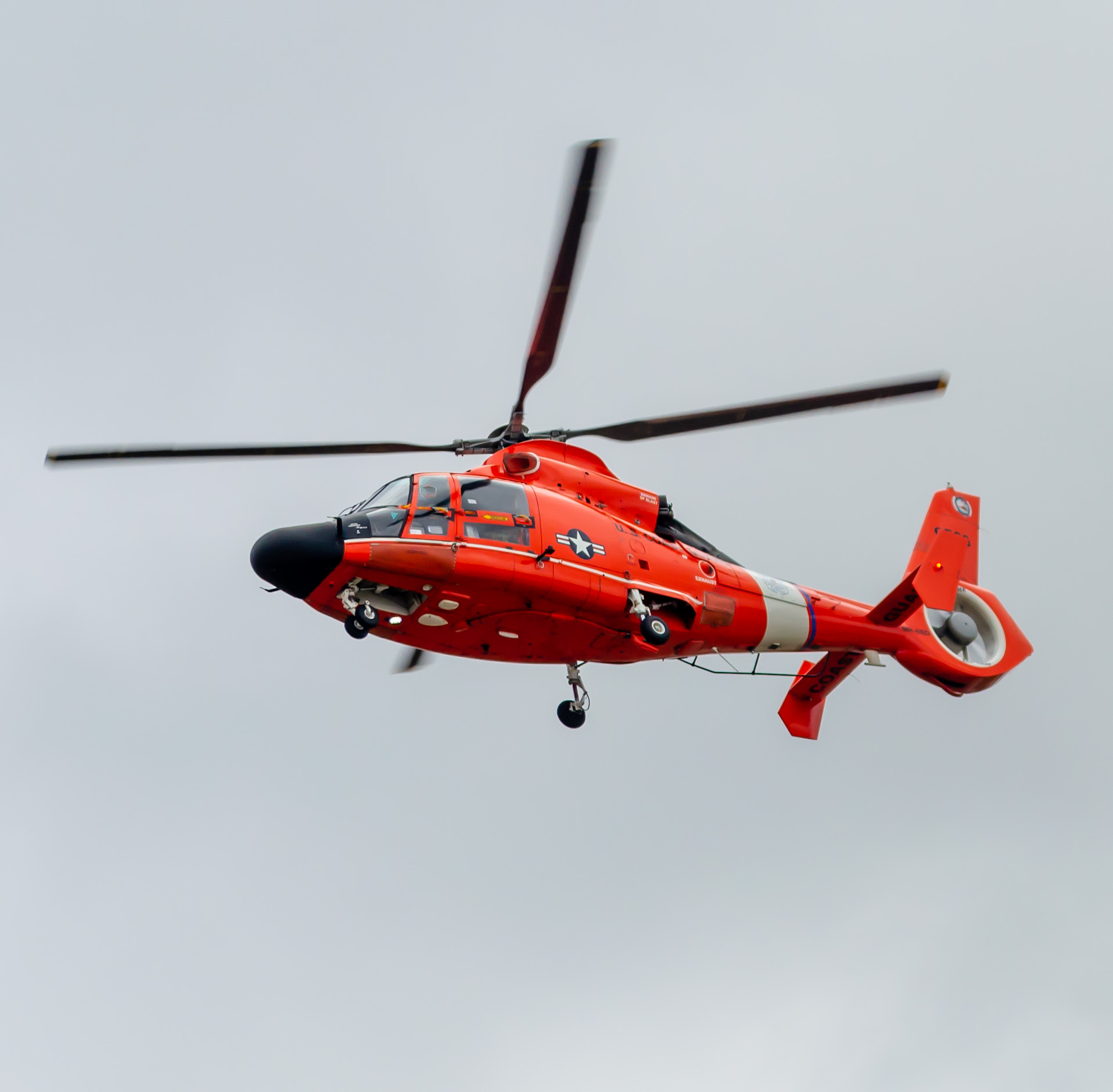 Full size: USCG - United States Coast Guard Aerospatiale HH-65C 6556 at Atlantic City International Airport