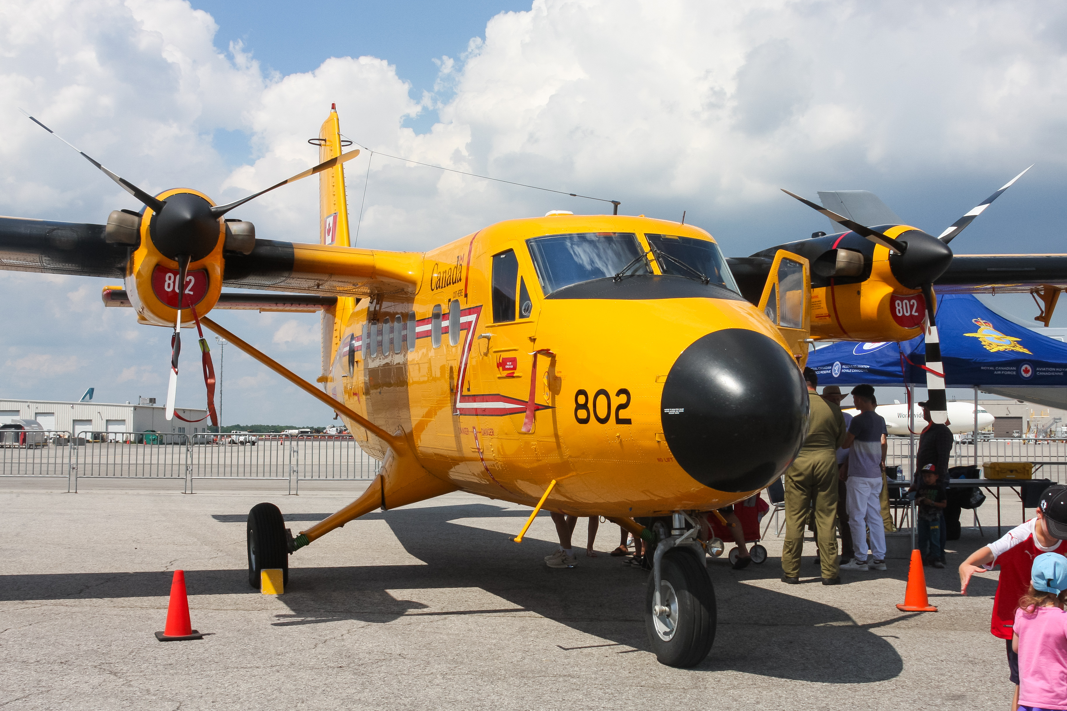 Full size: Royal Canadian Air Force De Havilland DHC-6 13802 at Hamilton John C. Munro International Airport
