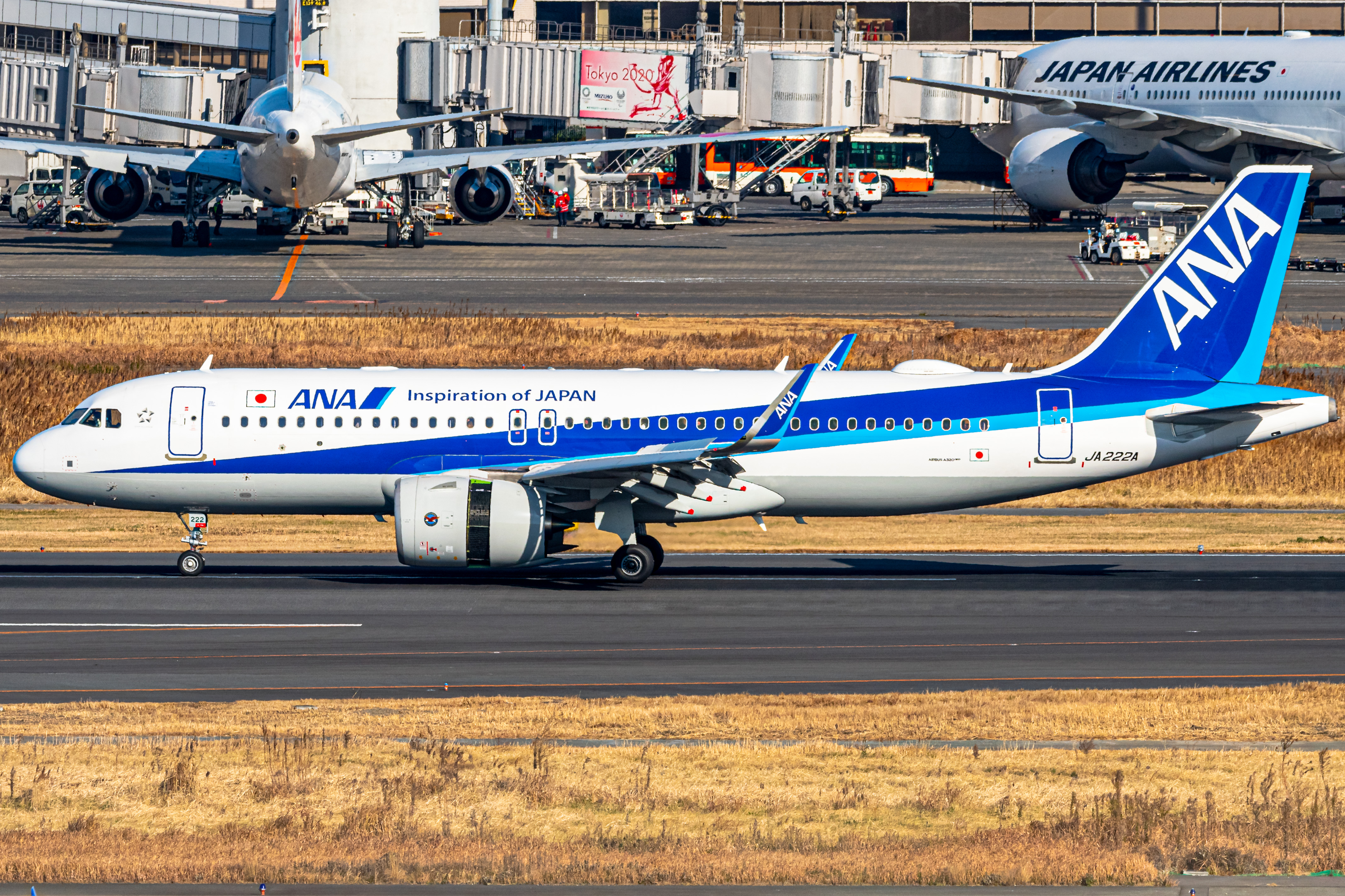 Full size: All Nippon Airways Airbus A320NEO JA222A at Tokyo-Haneda Airport