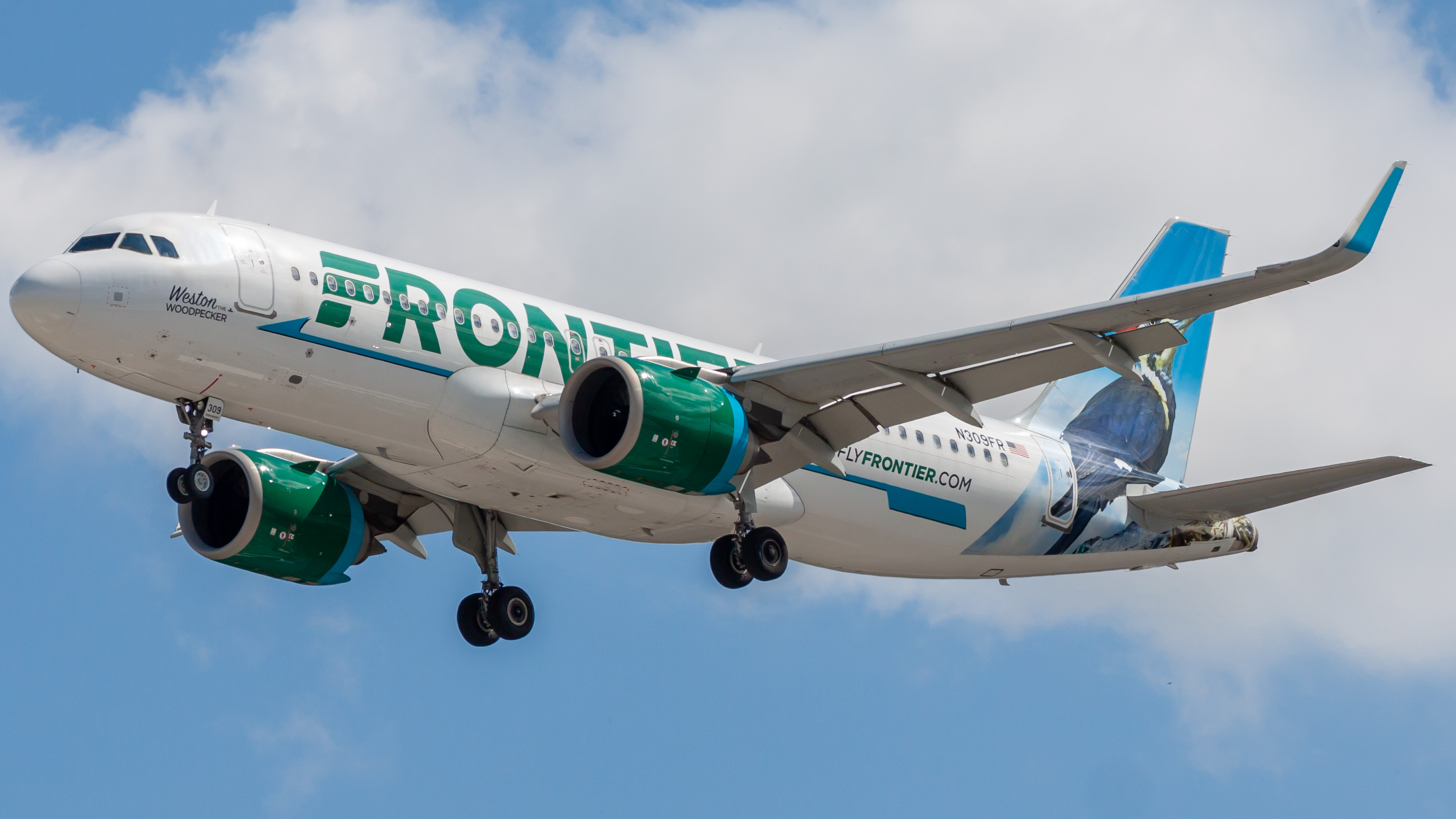Full size: Frontier Airlines Airbus A320NEO N309FR at Orlando International Airport