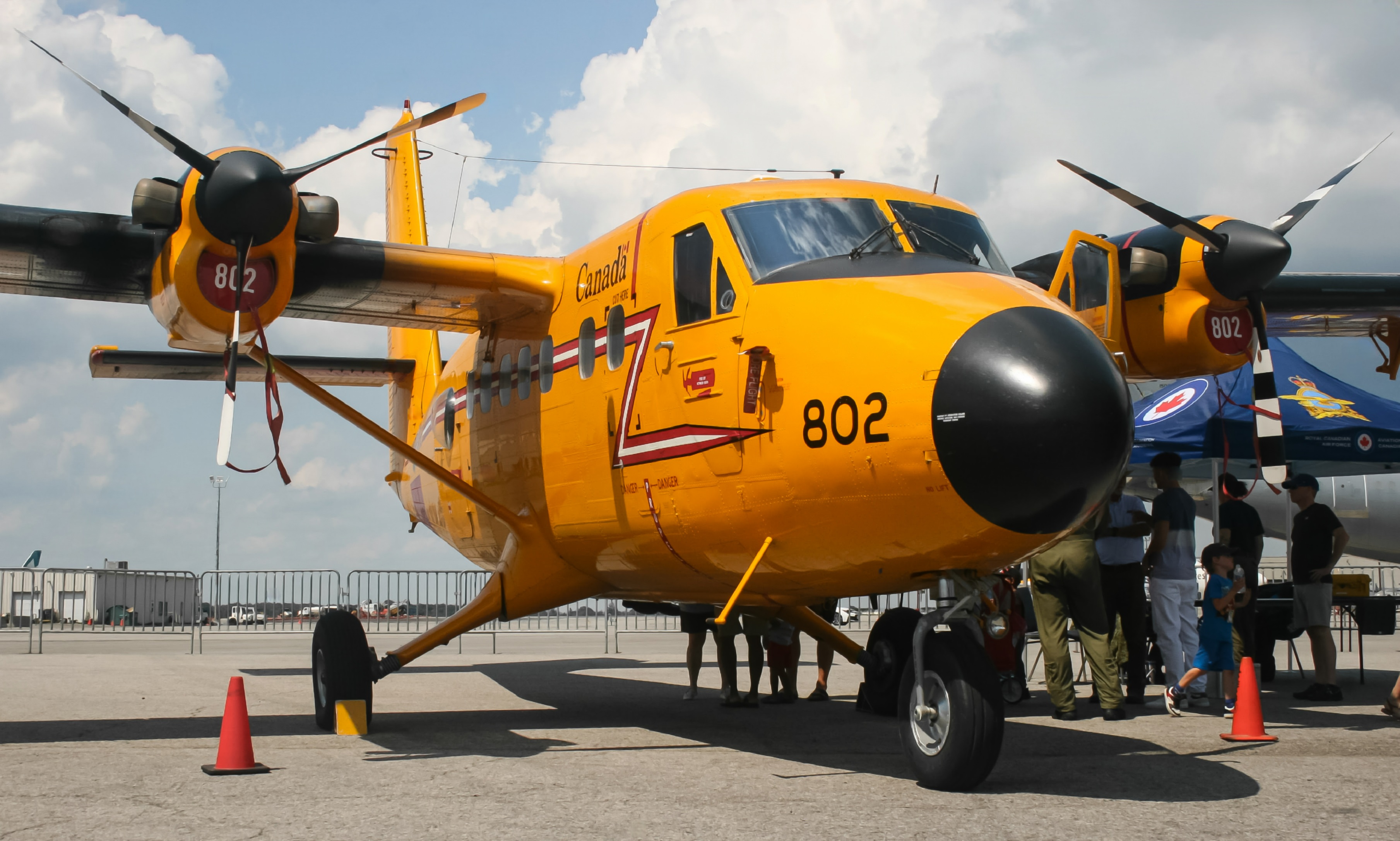 Full size: Royal Canadian Air Force De Havilland Canada CC-138 Twin Otter 13802 at Hamilton John C. Munro International Airport