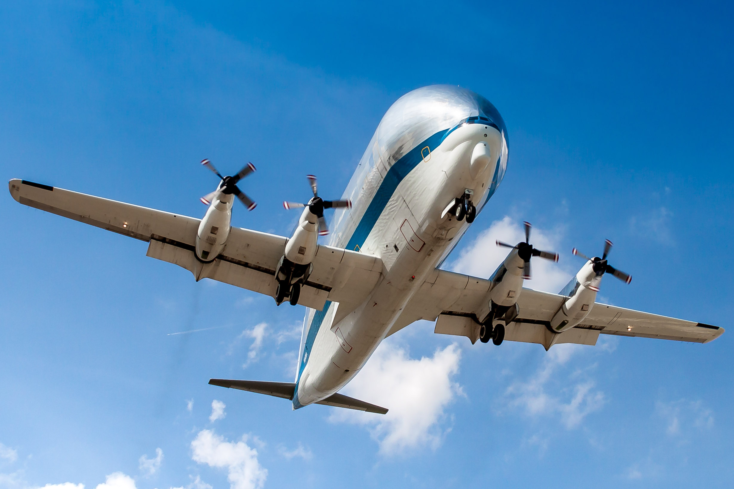 Full size: NASA Boeing B-377 SGT Super Guppy Turbine N941NA at Ellington Airport