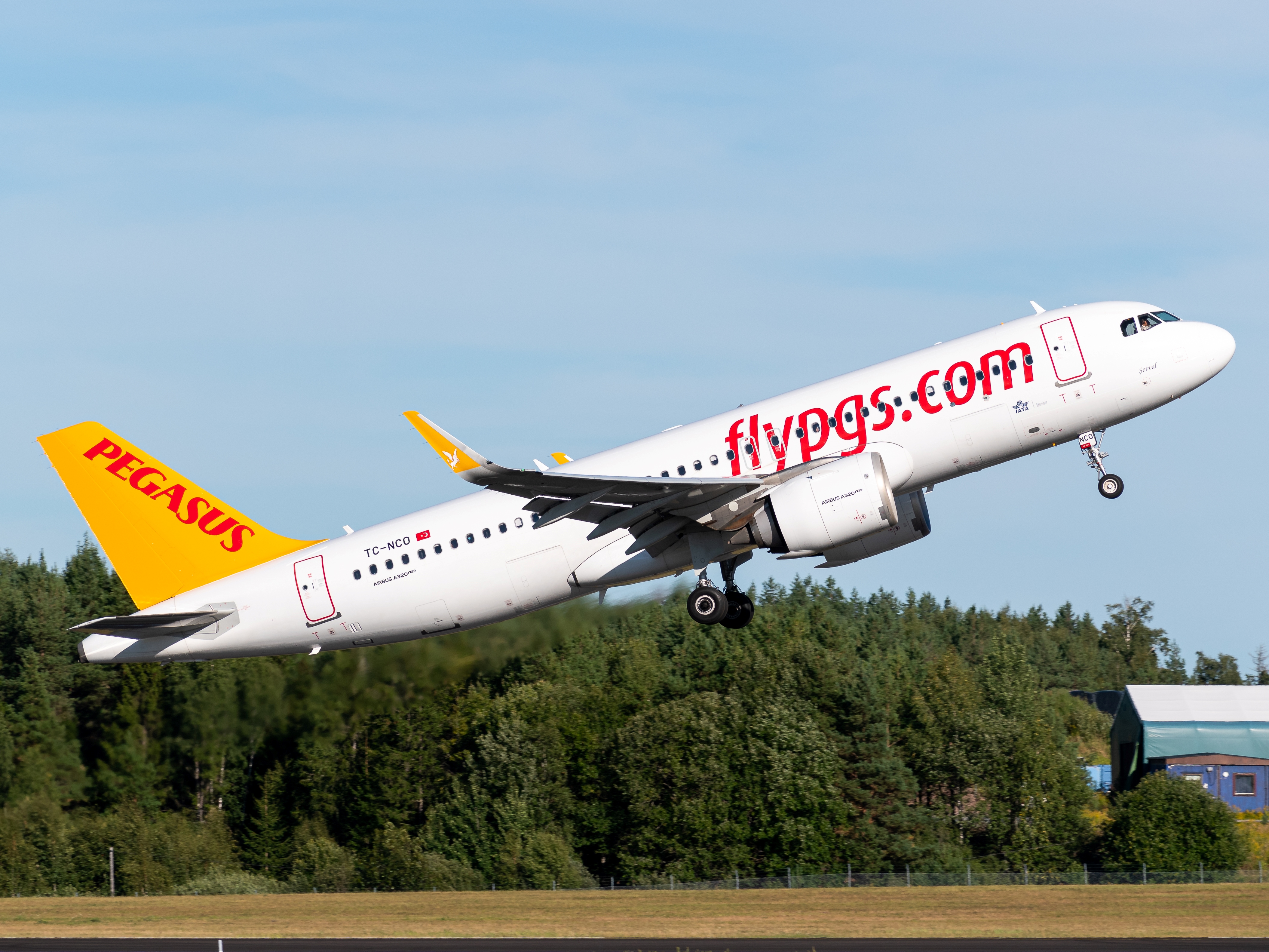 Full size: Pegasus Air Airbus A320NEO TC-NCO at Stockholm Arlanda Airport