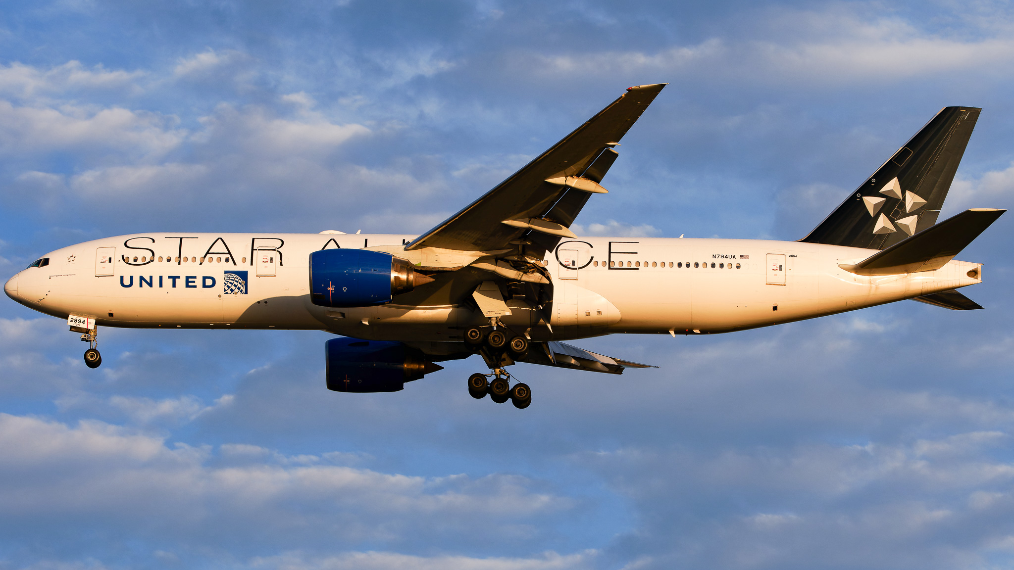 Full size: United Airlines Boeing 777-200 N794UA at Tampa International Airport
