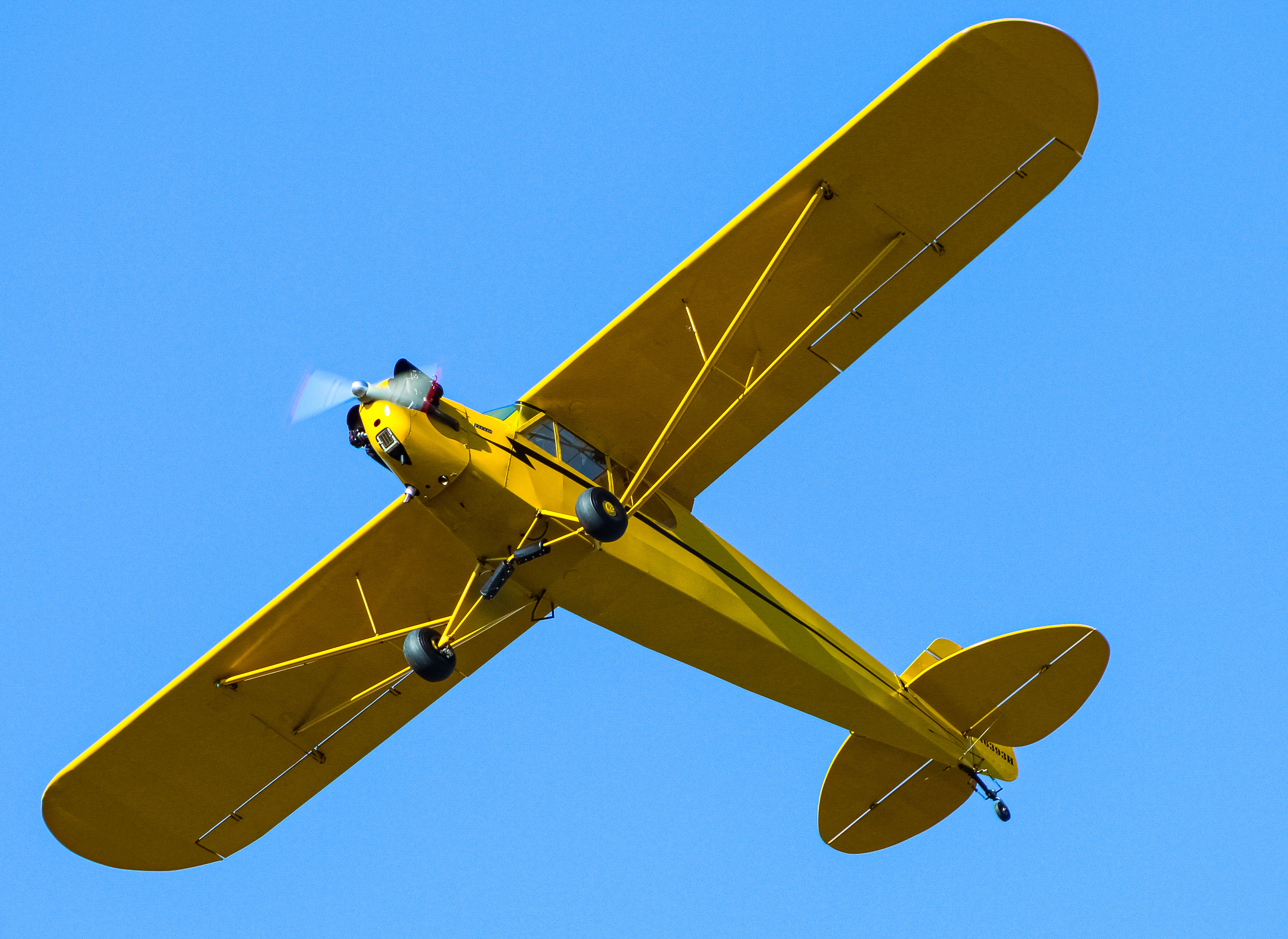 Full size: PRIVATE  Piper Cub N452SP at Clermont County Airport