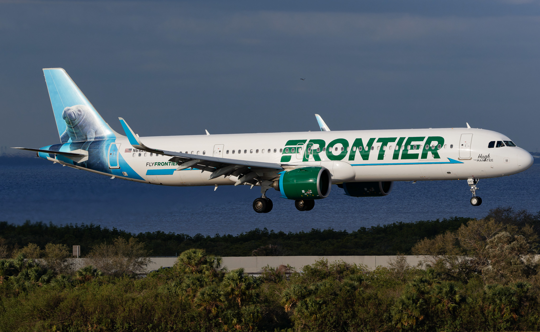 Full size: Frontier Airlines Airbus A321NEO N642FR at Tampa International Airport