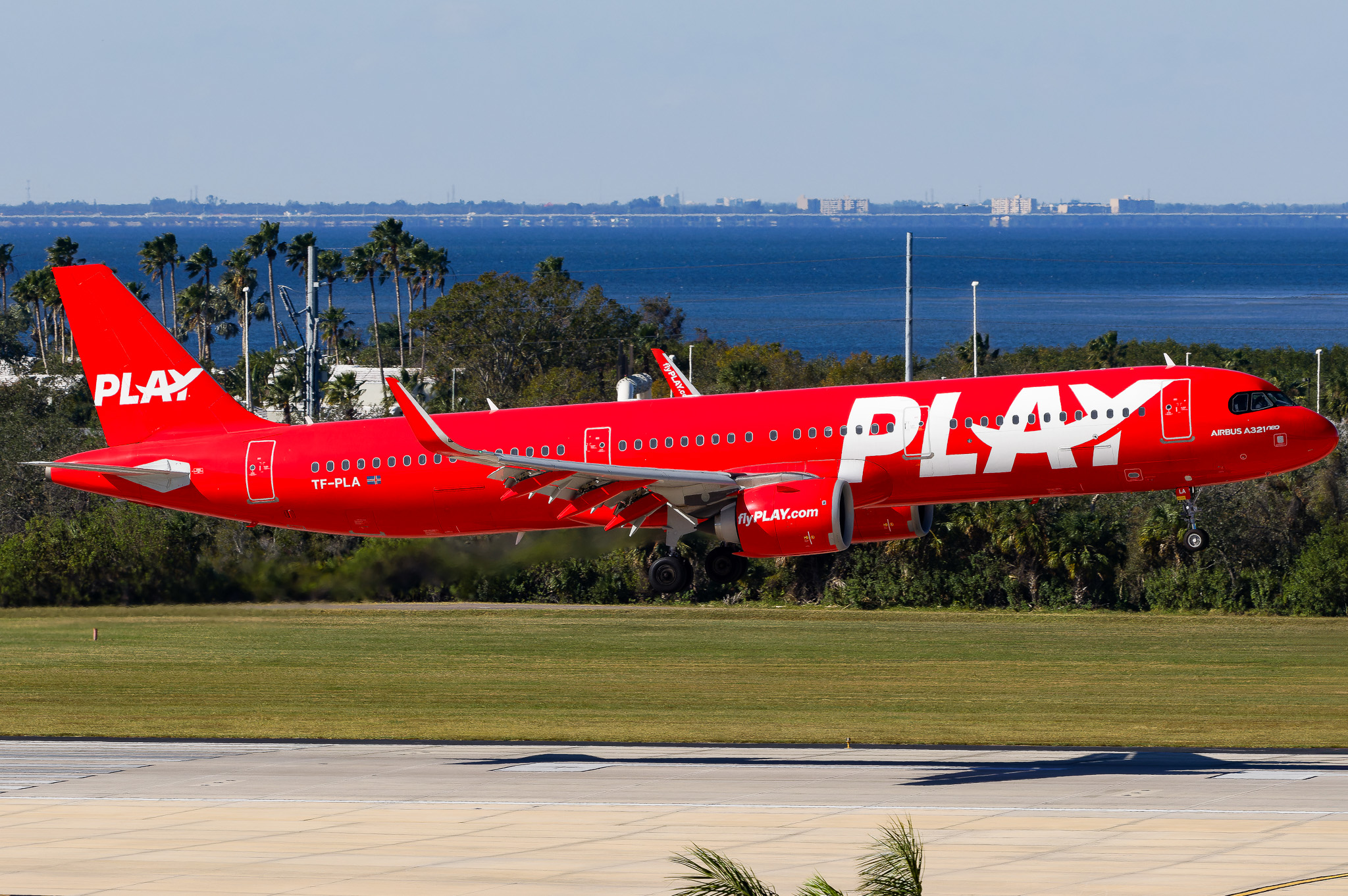 Full size: Play Airlines  Airbus A321NEO TF-PLA at Tampa International Airport