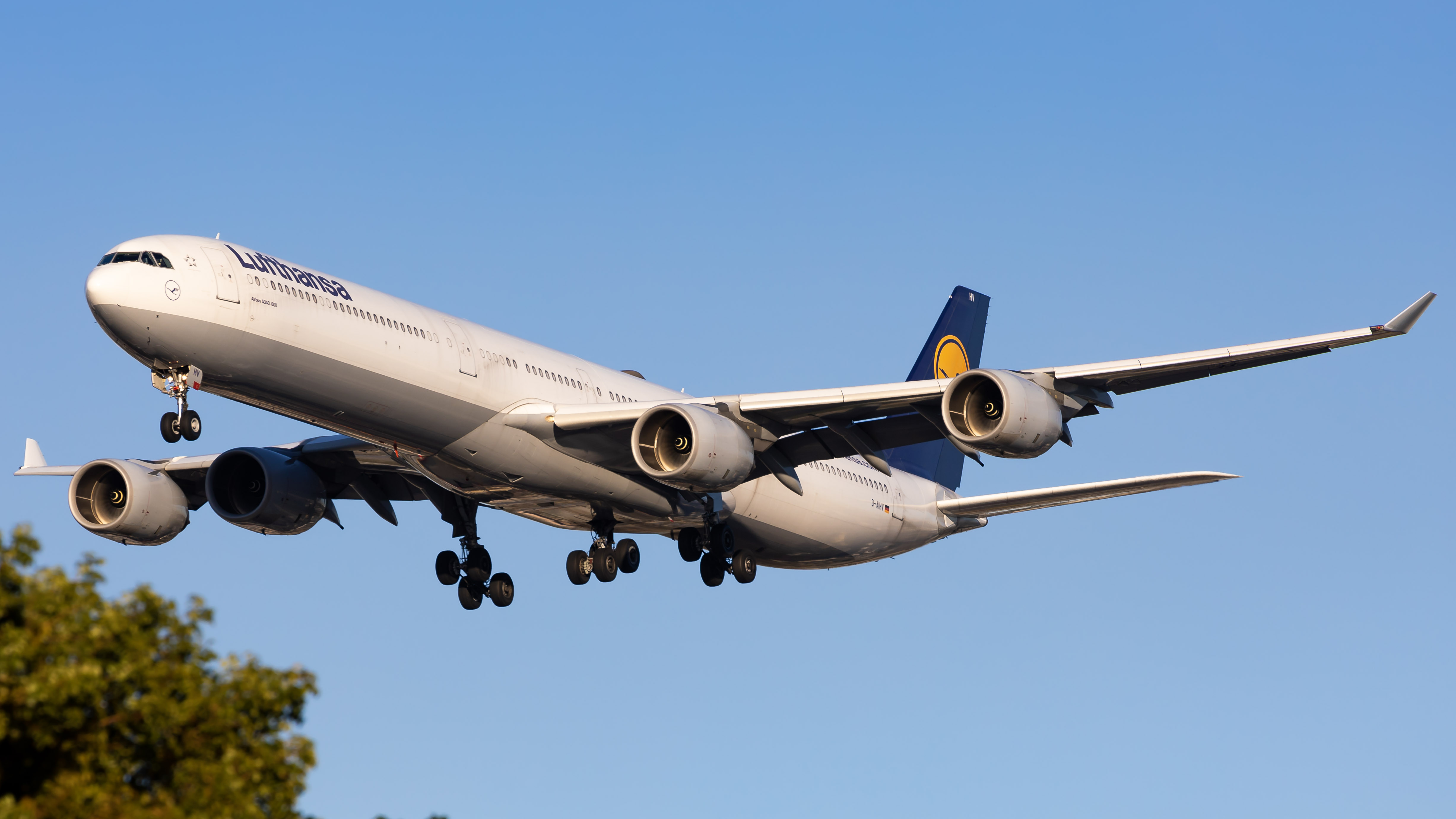Full size: Lufthansa Airbus A340-600 D-AIHV at Miami International Airport