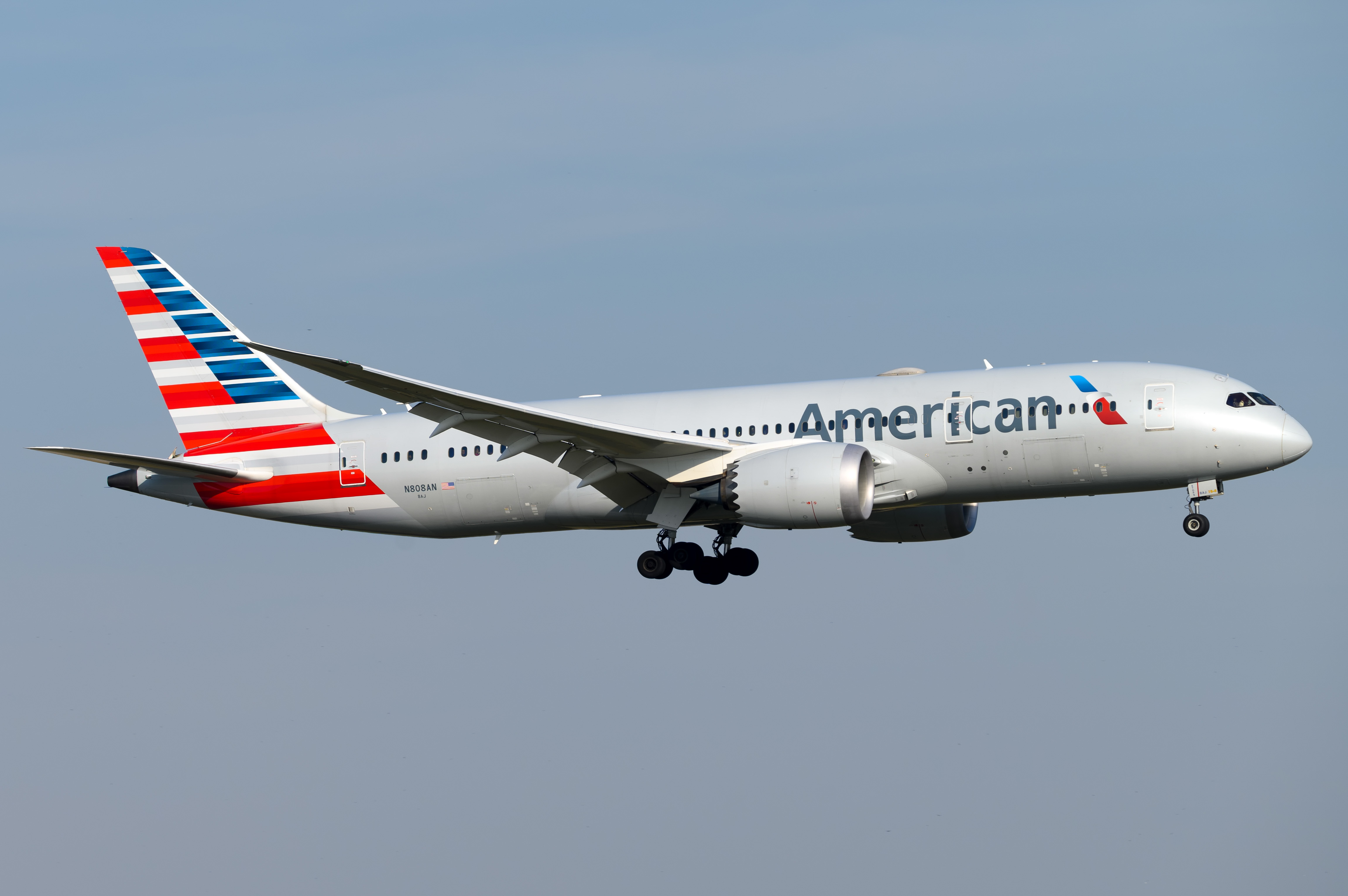 Full size: American Airlines Boeing 787-8 N808AN at Orlando International Airport