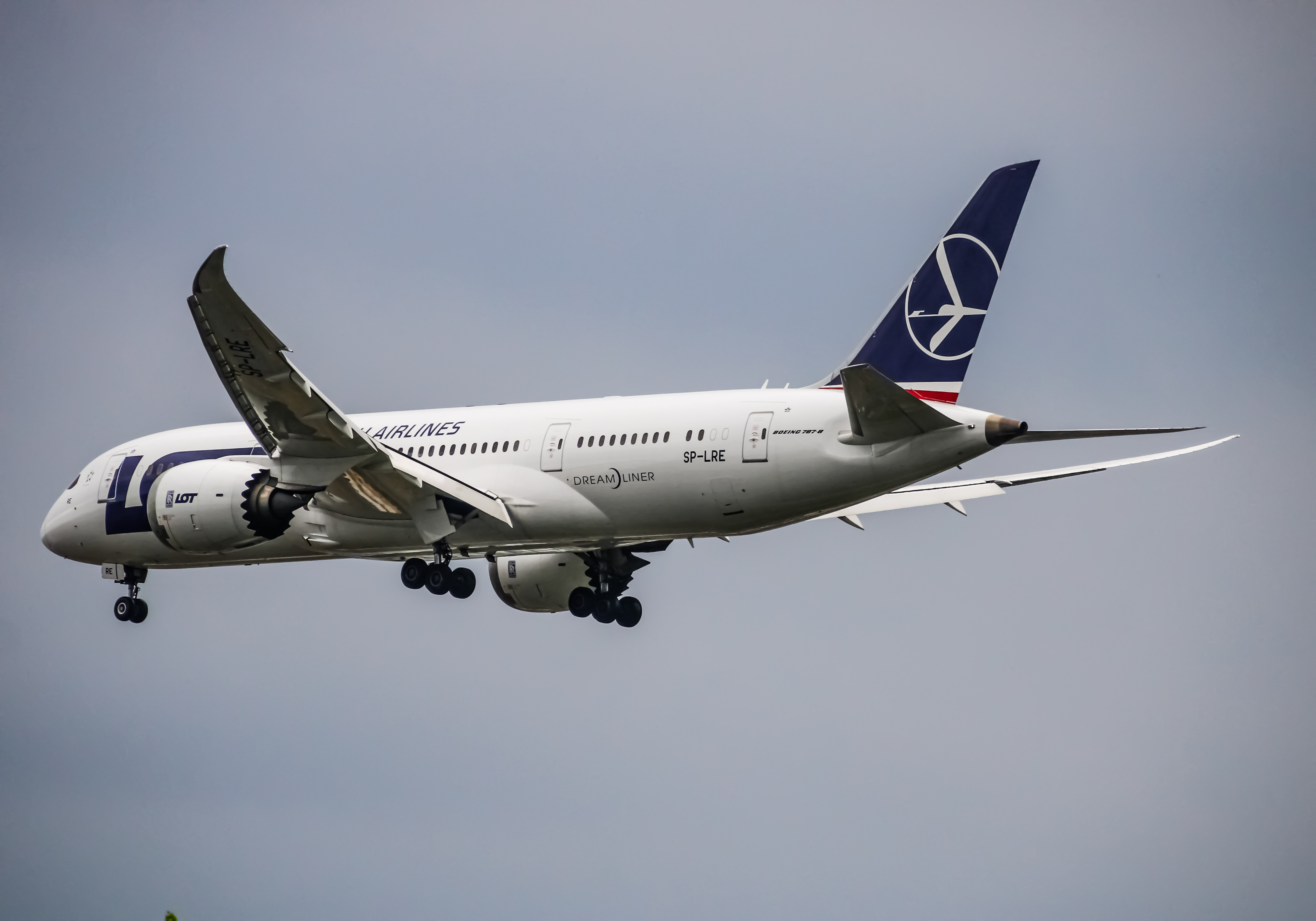 Full size: LOT Polish Airlines Boeing 787-8 SP-LRE at John F. Kennedy International Airport