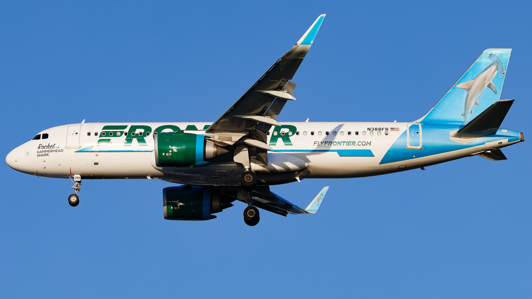 Full size: Frontier Airlines Airbus A320NEO N388FR at Tampa International Airport