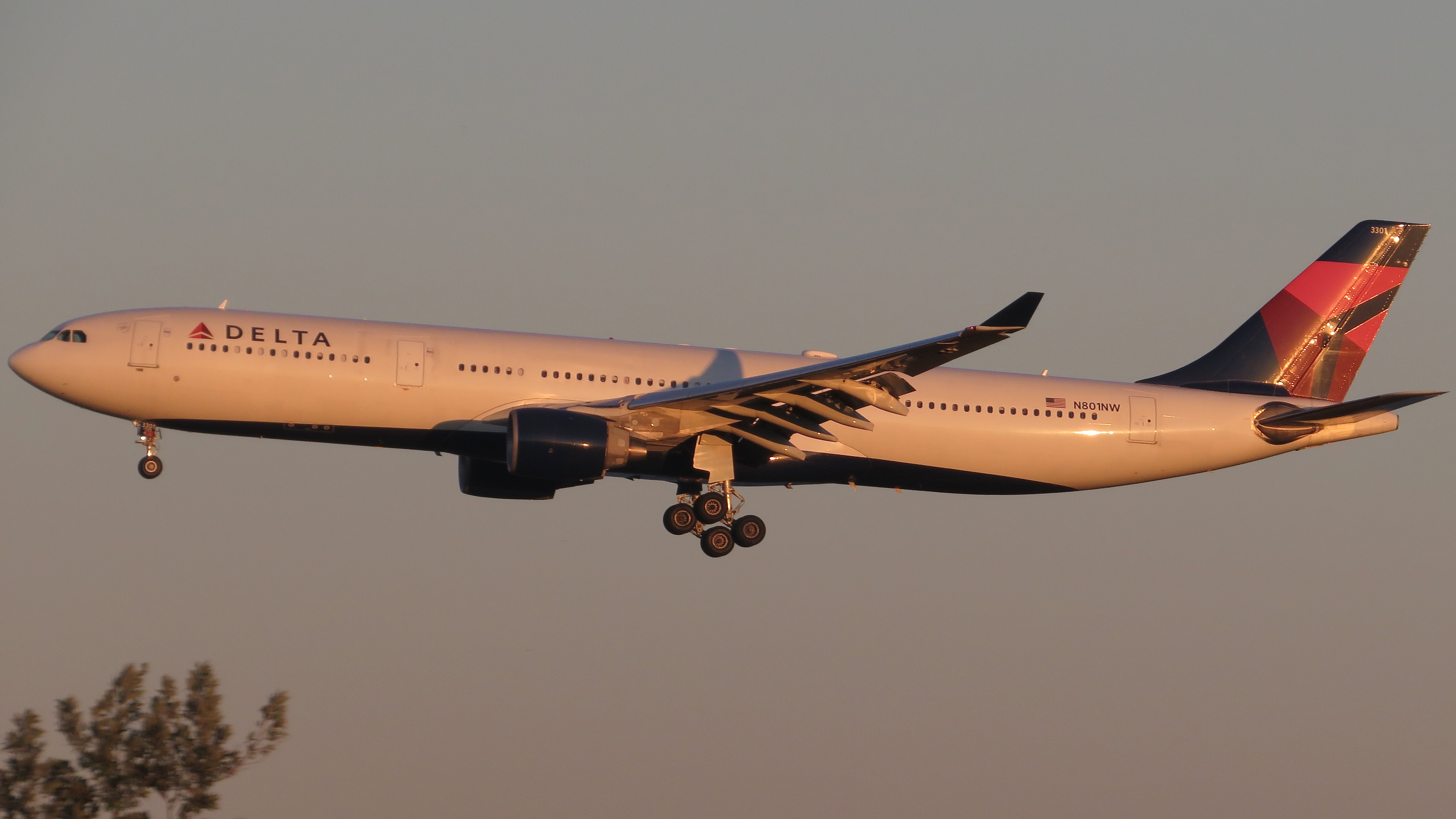 Full size: Delta Airlines Airbus A330-300 N801NW at Orlando International Airport