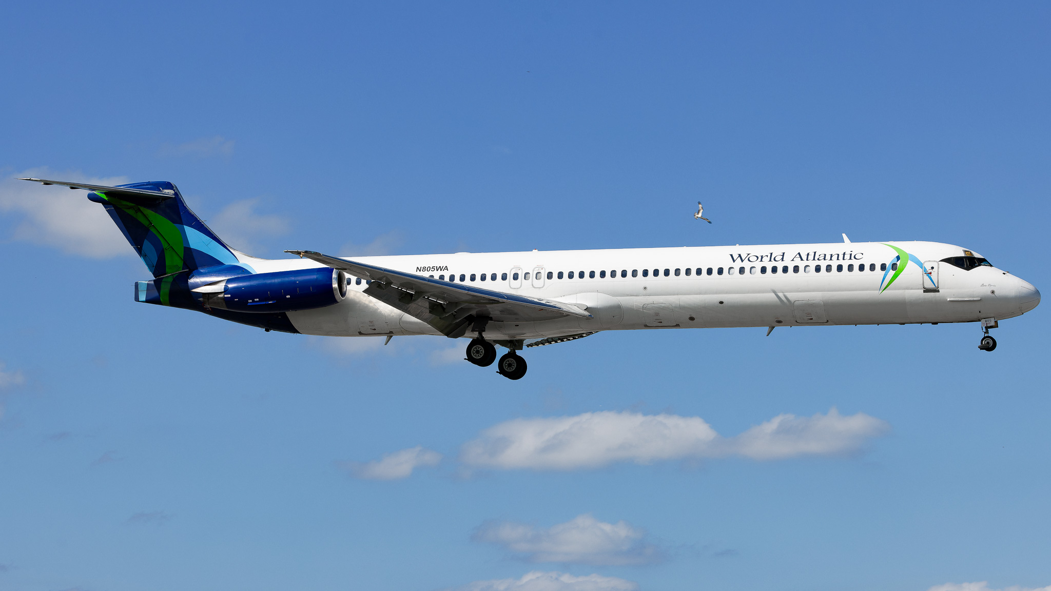 Full size: World Atlantic Airlines McDonnell Douglas MD-83 N805WA at Miami International Airport