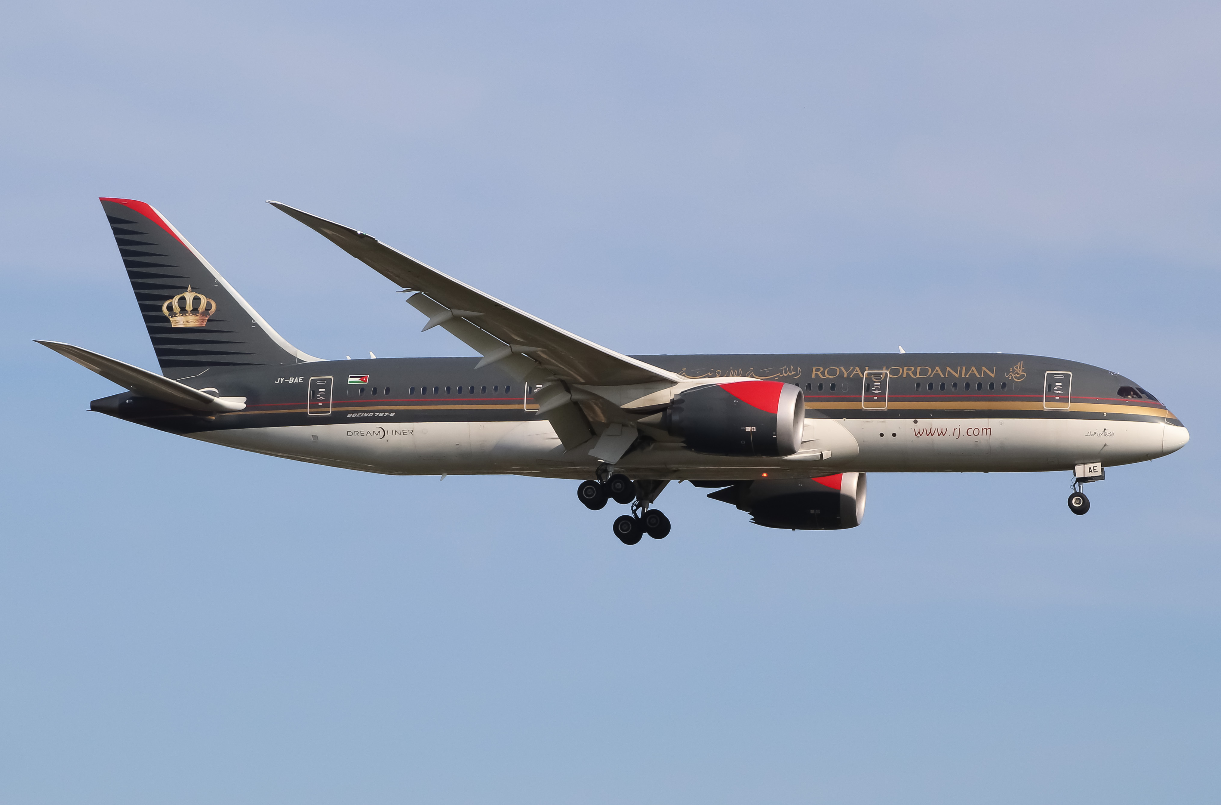 Full size: Royal Jordanian  Boeing 787-8 JY-BAE at John F. Kennedy International Airport