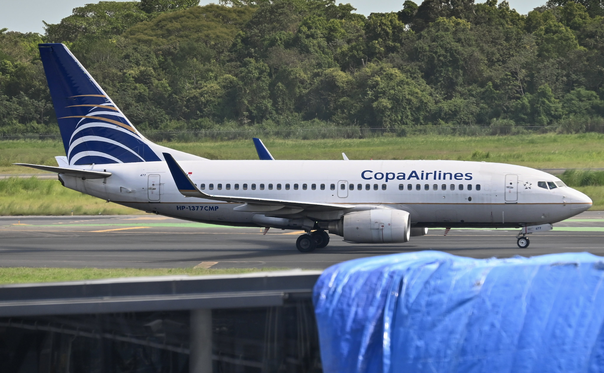 Full size: Copa Airlines Boeing 737-700 HP-1377CMP at Panama City Tocumen International Airport