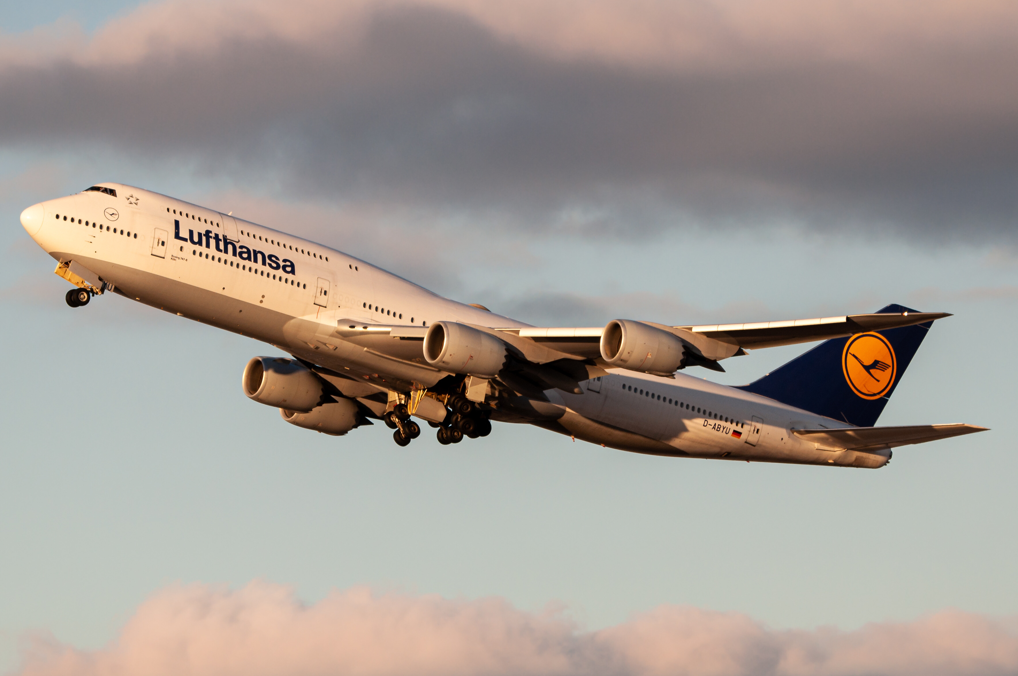 Full size: Lufthansa Boeing 747-8i D-ABYU at Chicago O'Hare International Airport