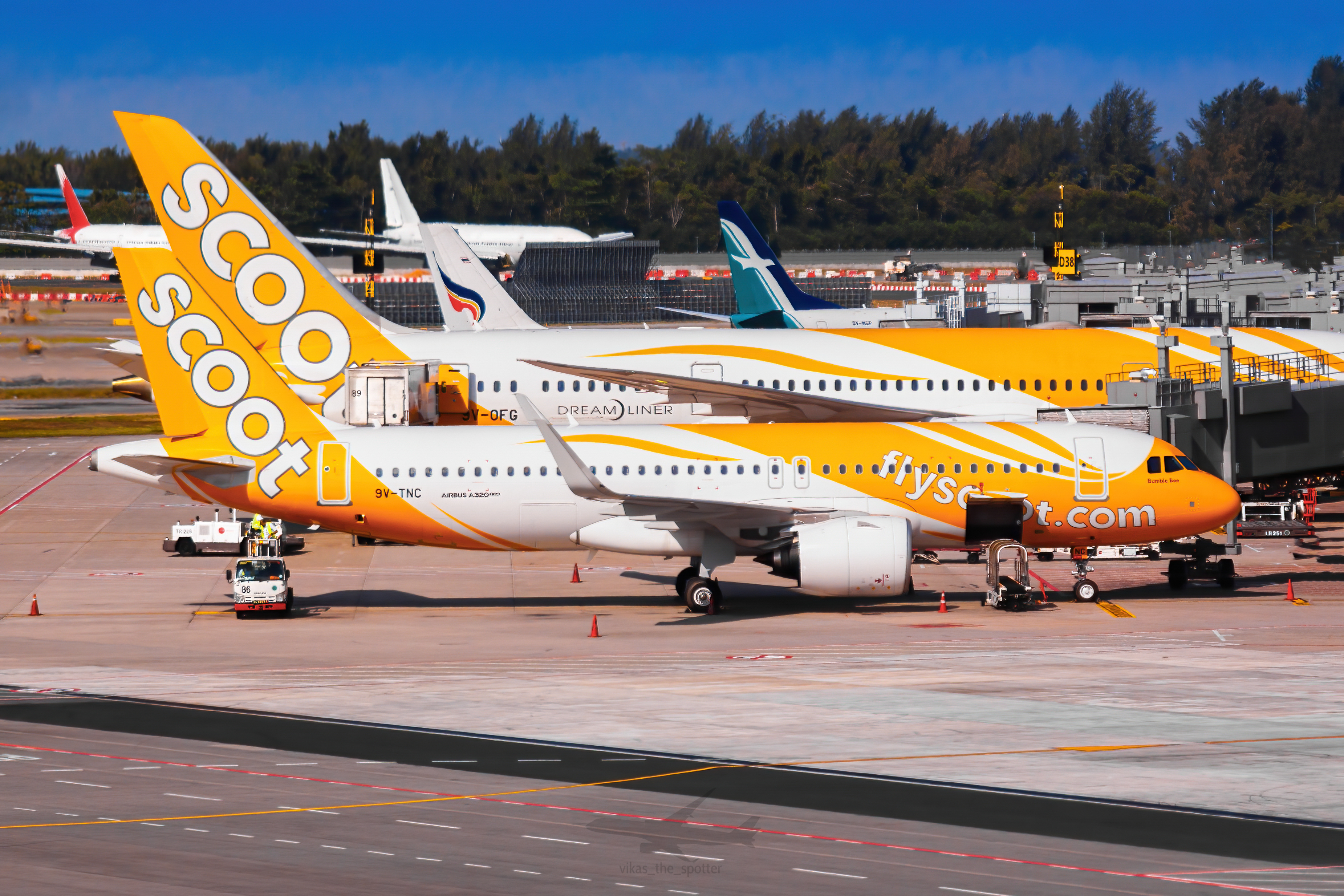 Full size: Scoot Airbus A320NEO 9V-TNC at Singapore-Changi Airport