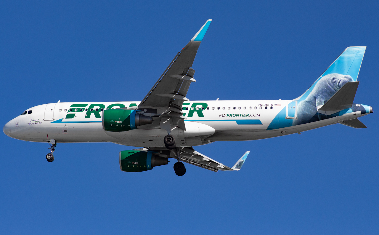 Full size: Frontier Airlines Airbus A320 N238FR at Tampa International Airport