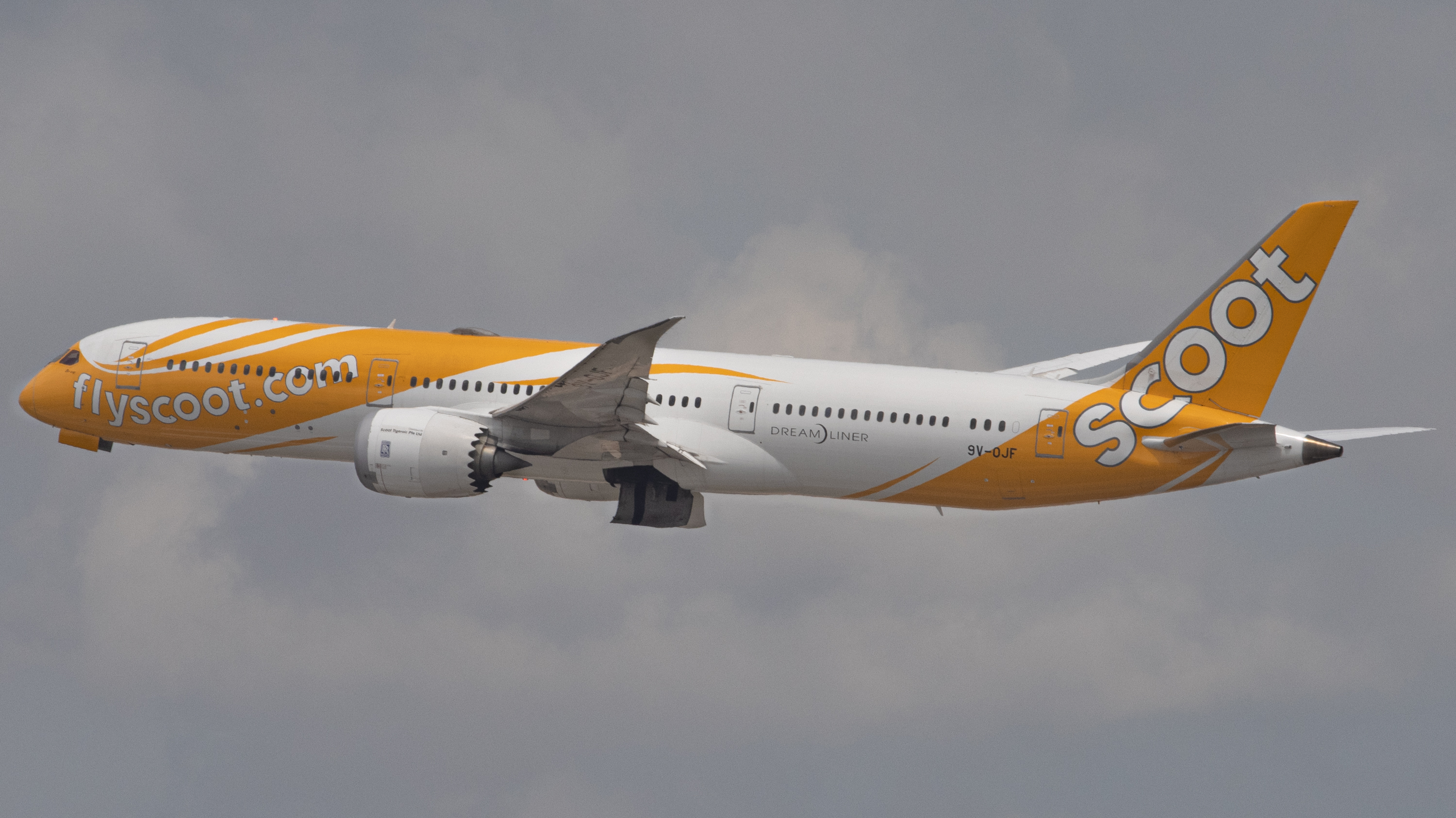 Full size: Scoot Boeing 787-9 9V-OFJ at Singapore-Changi Airport