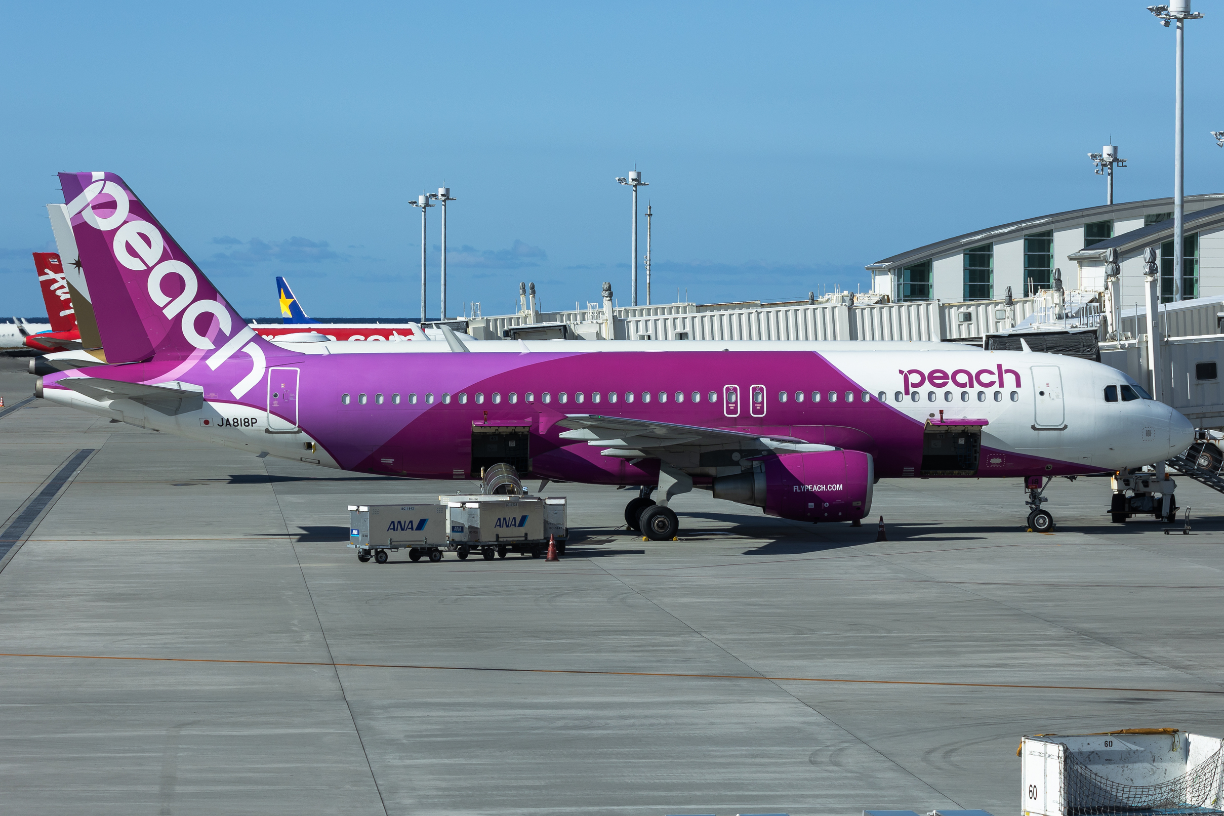 Full size: Peach Air Airbus A320 JA818P at Okinawa Naha Airport