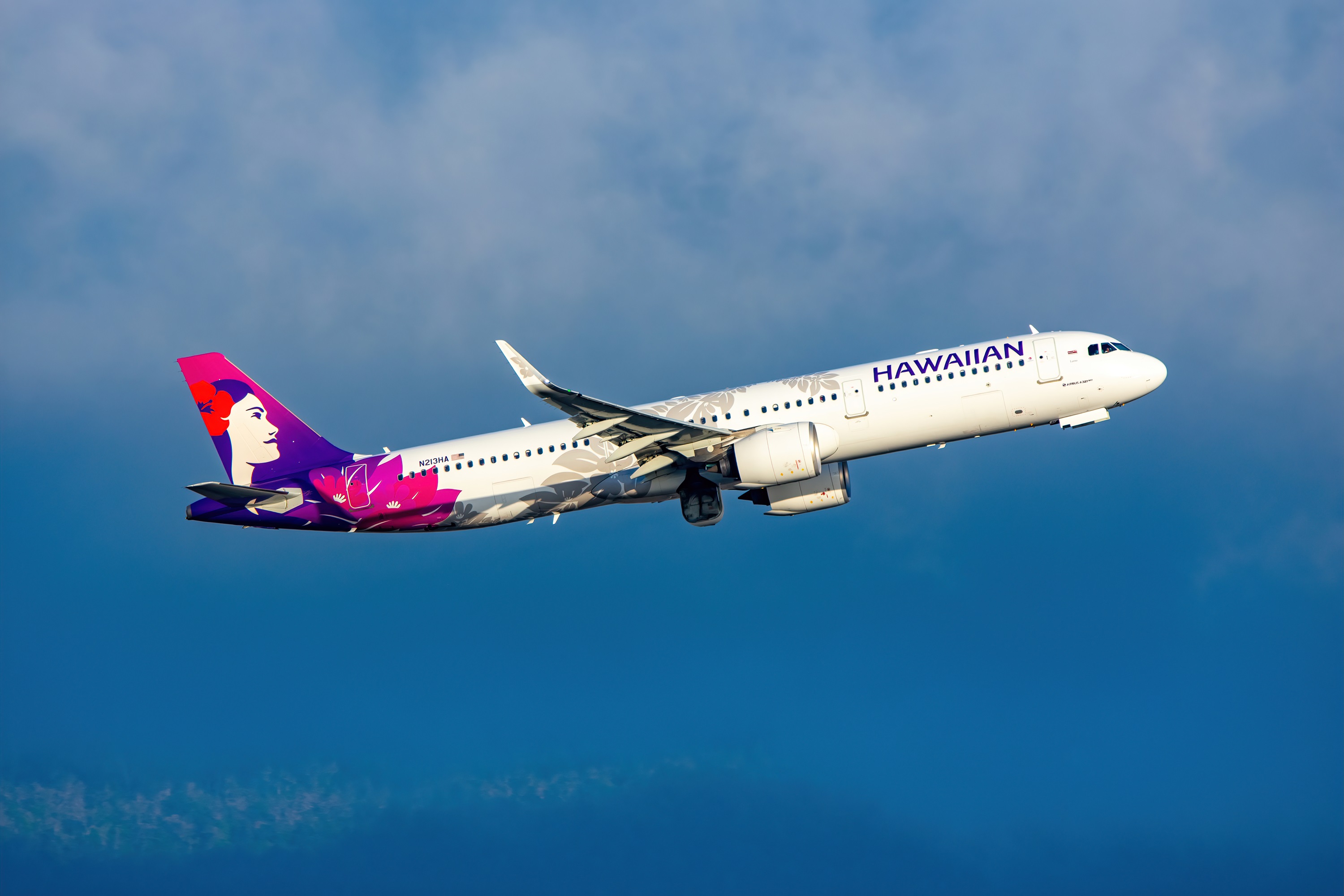Full size: Hawaiian Airlines Airbus A321NEO N213HA at Kona International Airport