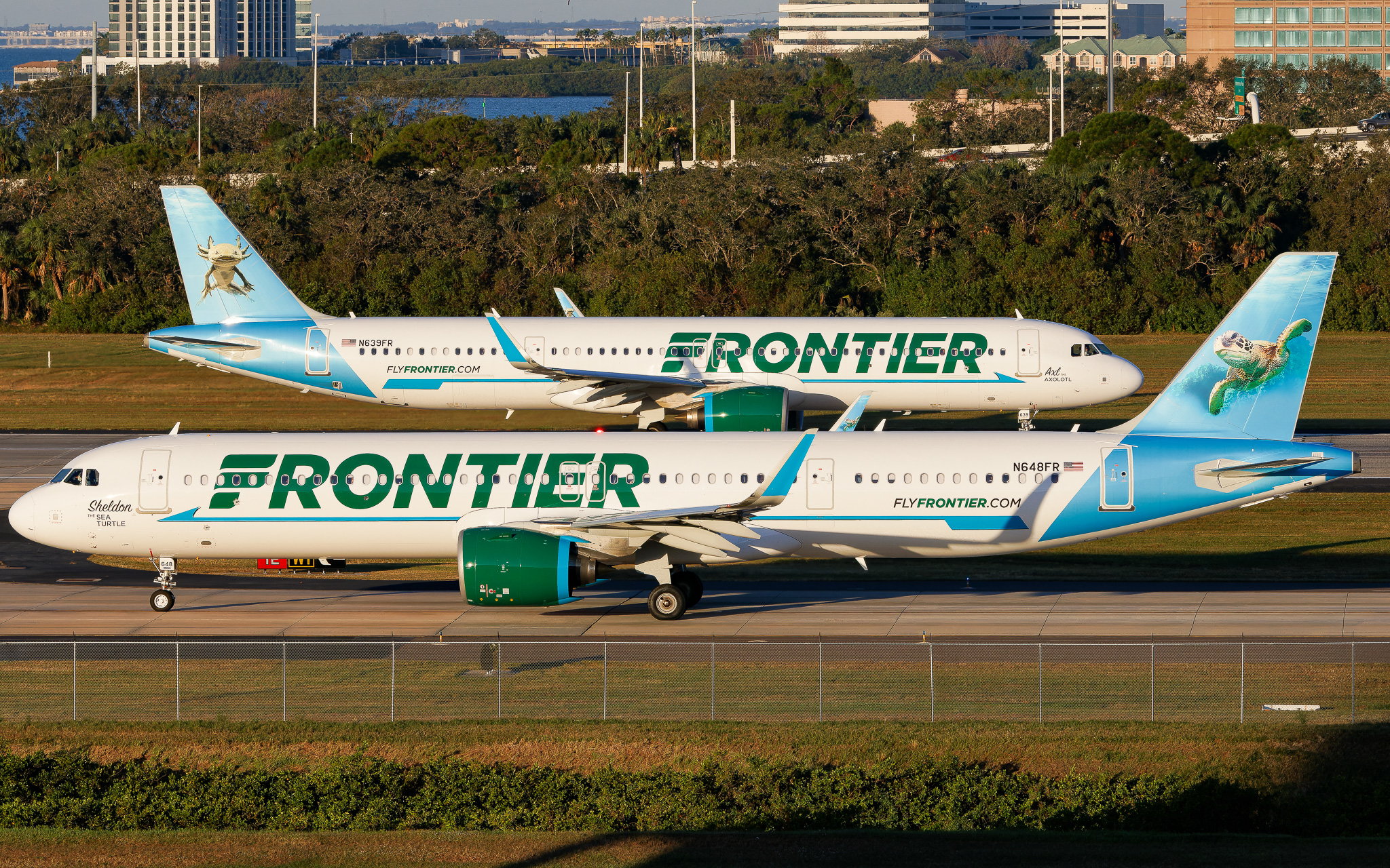 Full size: Frontier Airlines Airbus A321NEO N648FR at Tampa International Airport