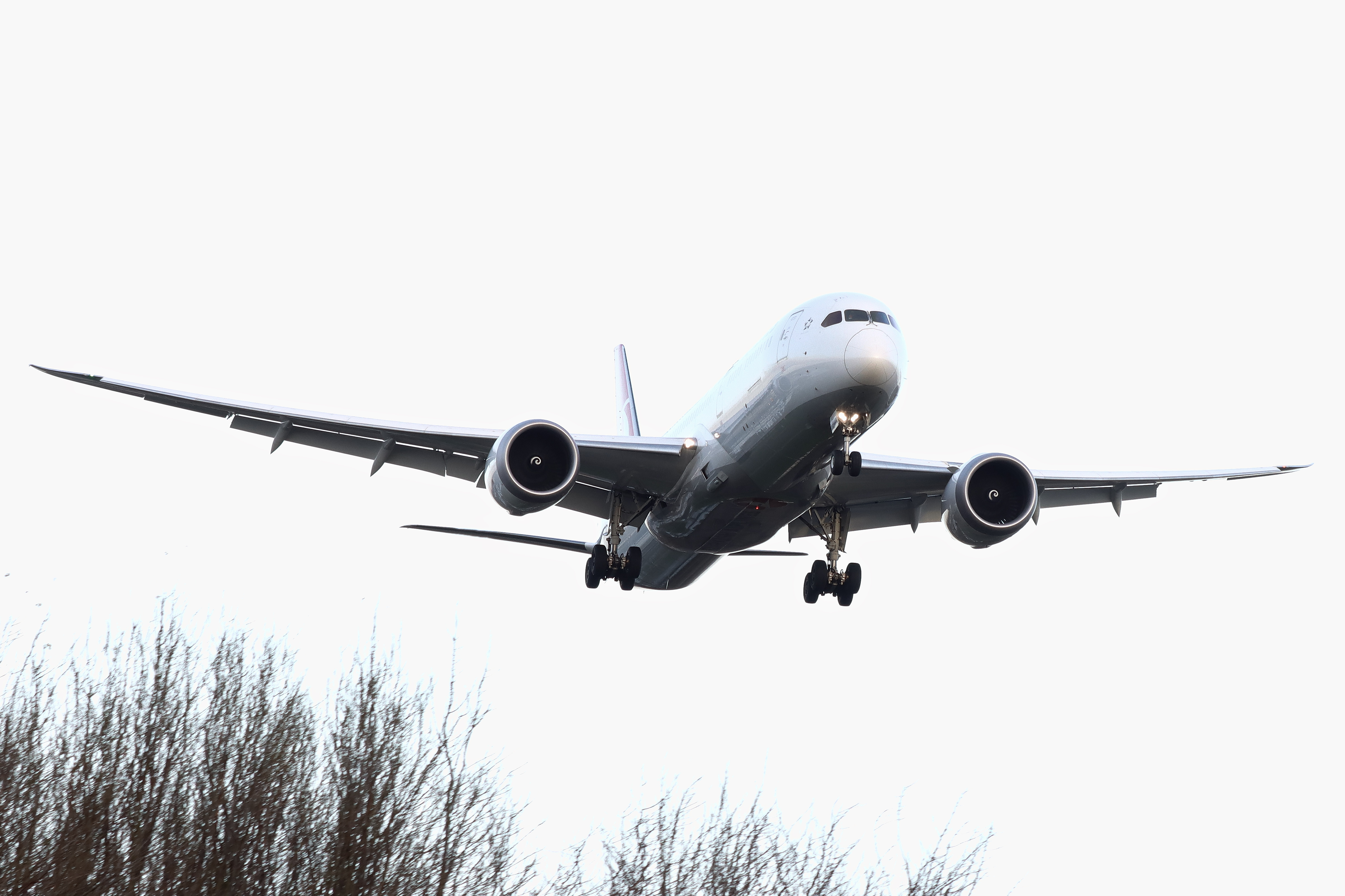 Full size: Turkish Airlines Boeing 787-9 TC-LLE at Birmingham Airport