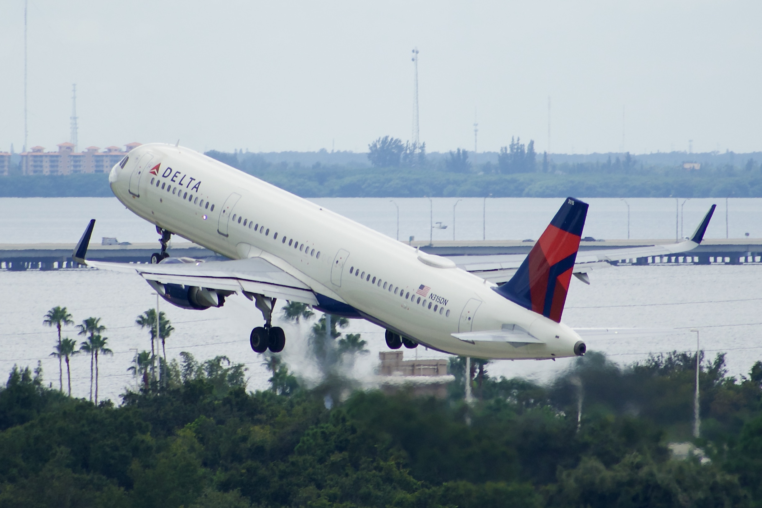 Full size: Delta Airlines Airbus A321-200 N315DN at Tampa International Airport
