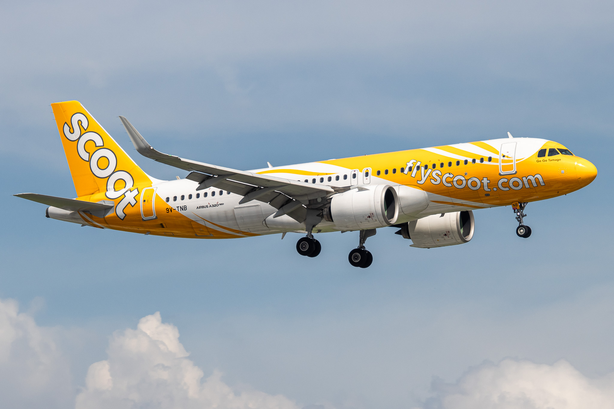 Full size: Scoot Airbus A320NEO 9V-TNB at Tan Son Nhat International Airport