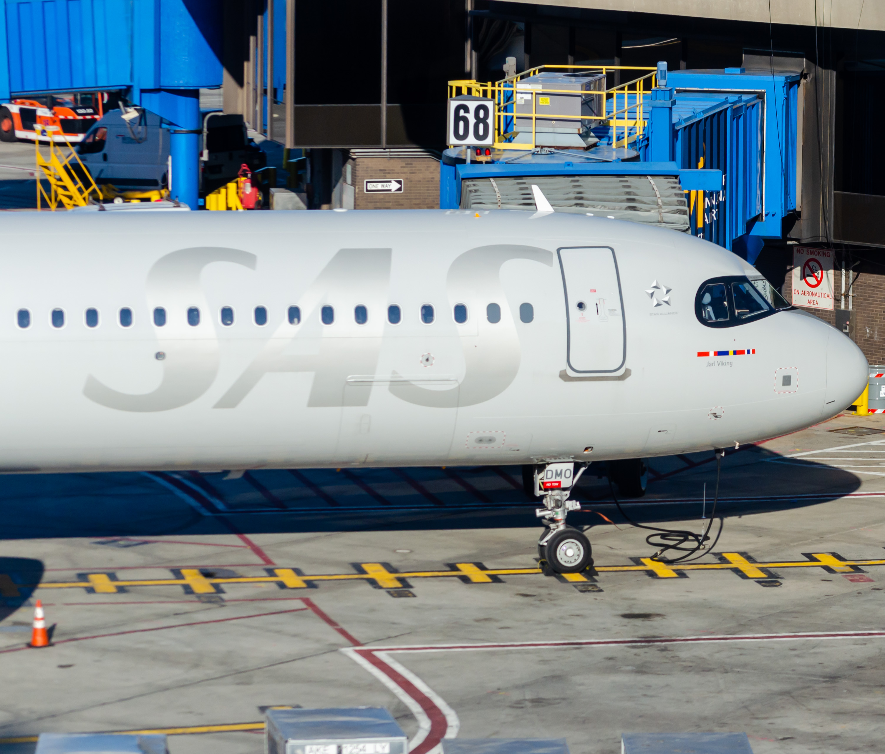Full size: Scandinavian Airlines Airbus A321NEO SE-DMO  at Newark Liberty International Airport